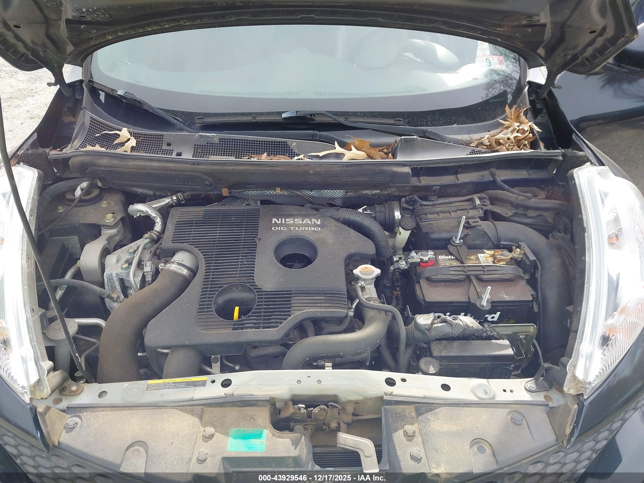 NISSAN JUKE image 10