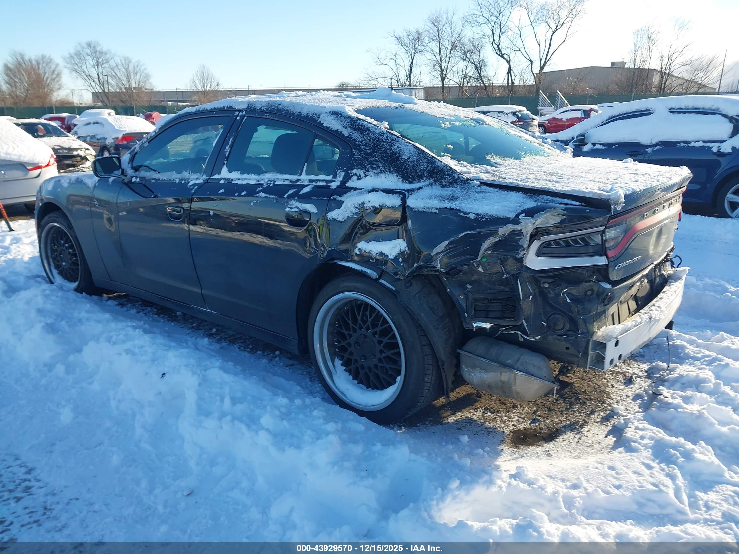 DODGE CHARGER image 3