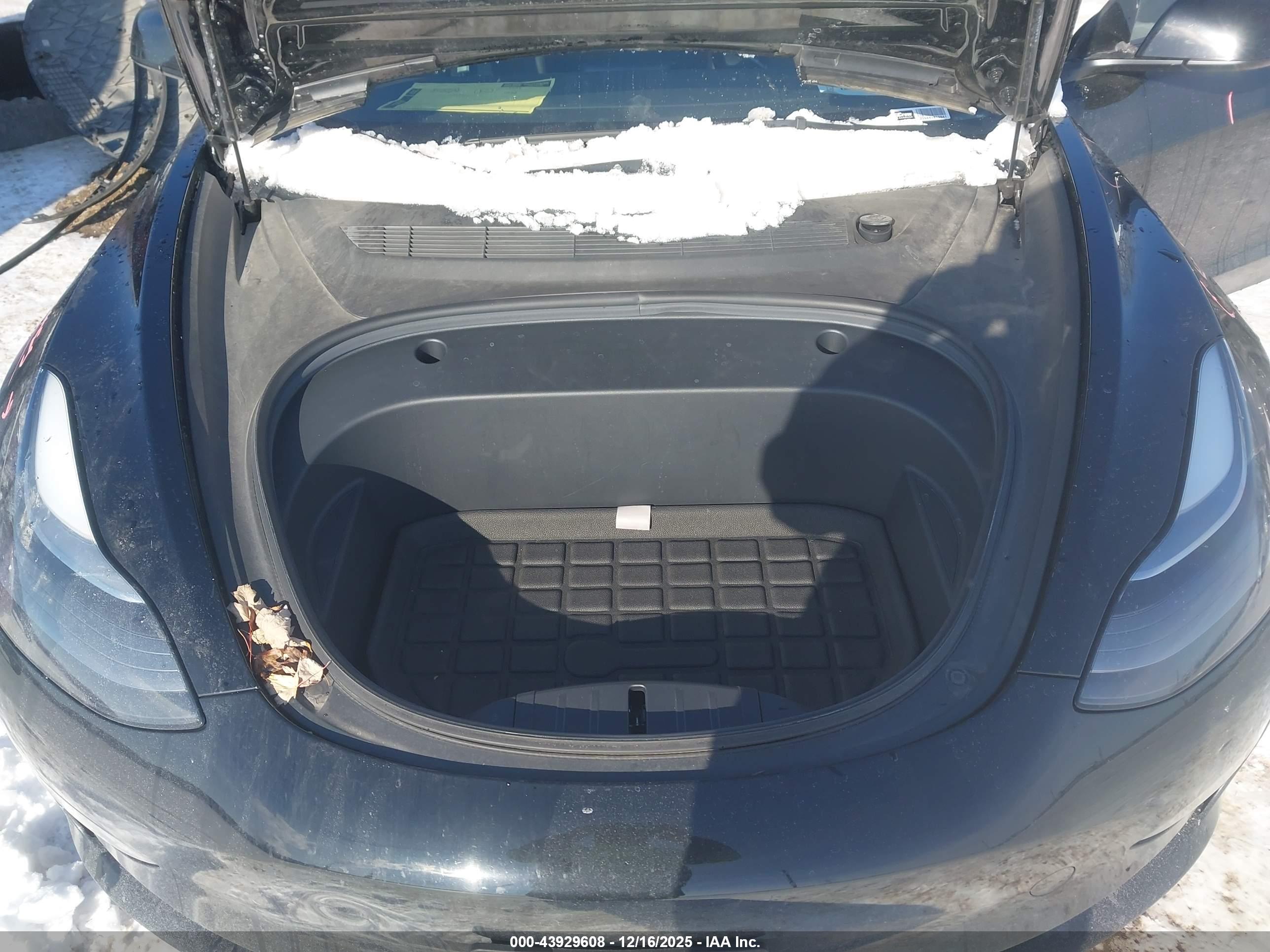 TESLA MODEL image 10