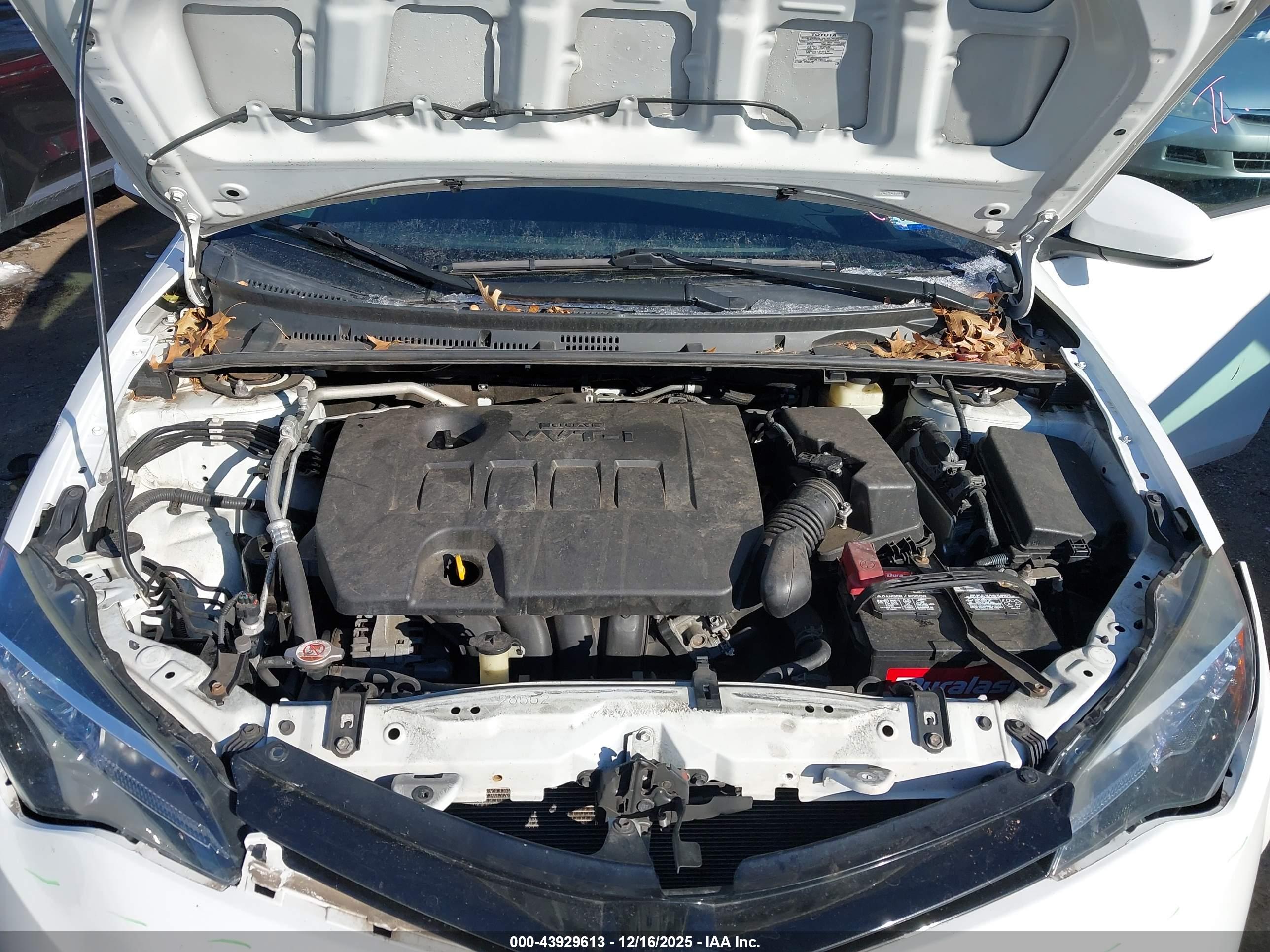 TOYOTA COROLLA image 10