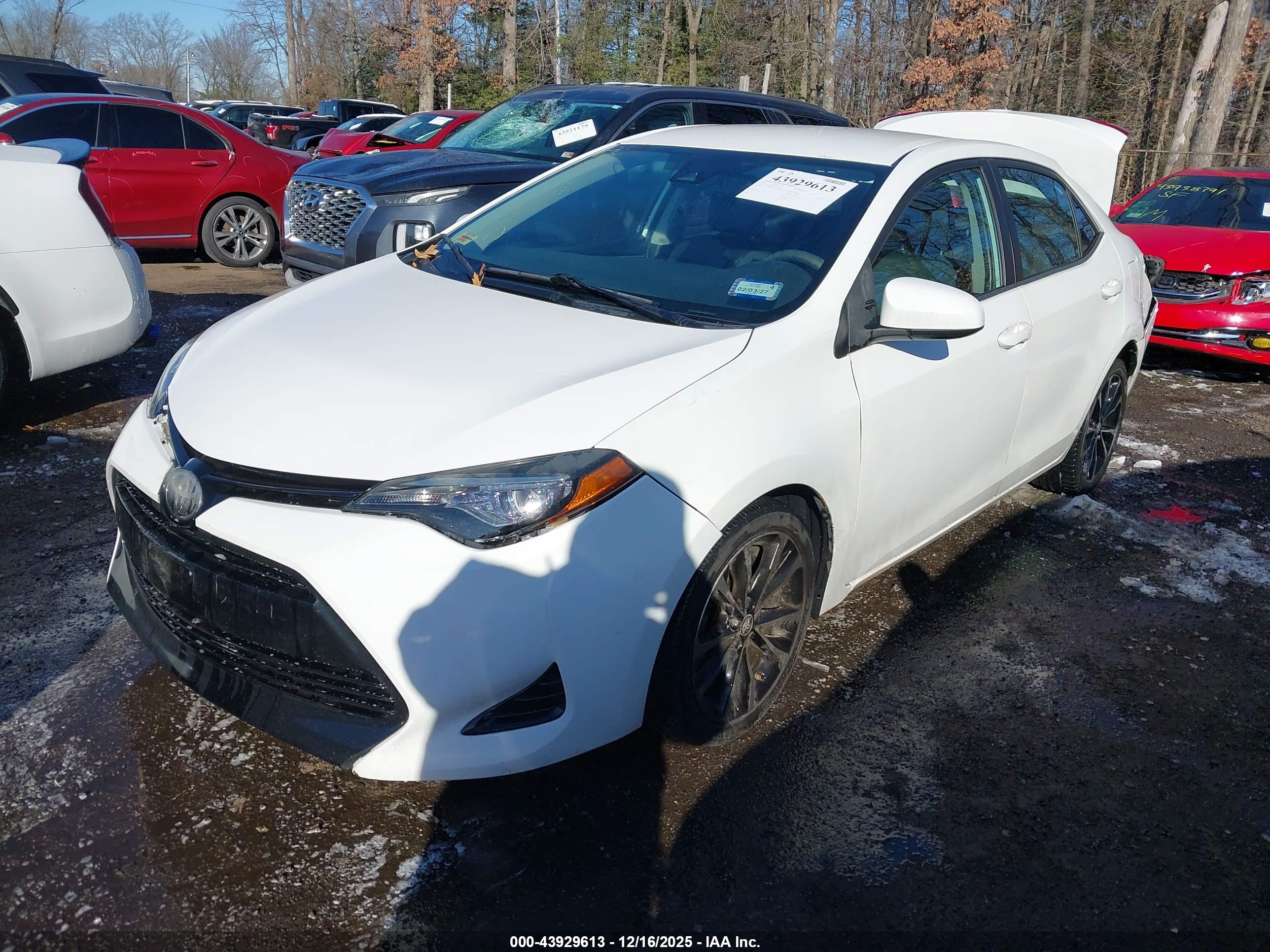 TOYOTA COROLLA image 2