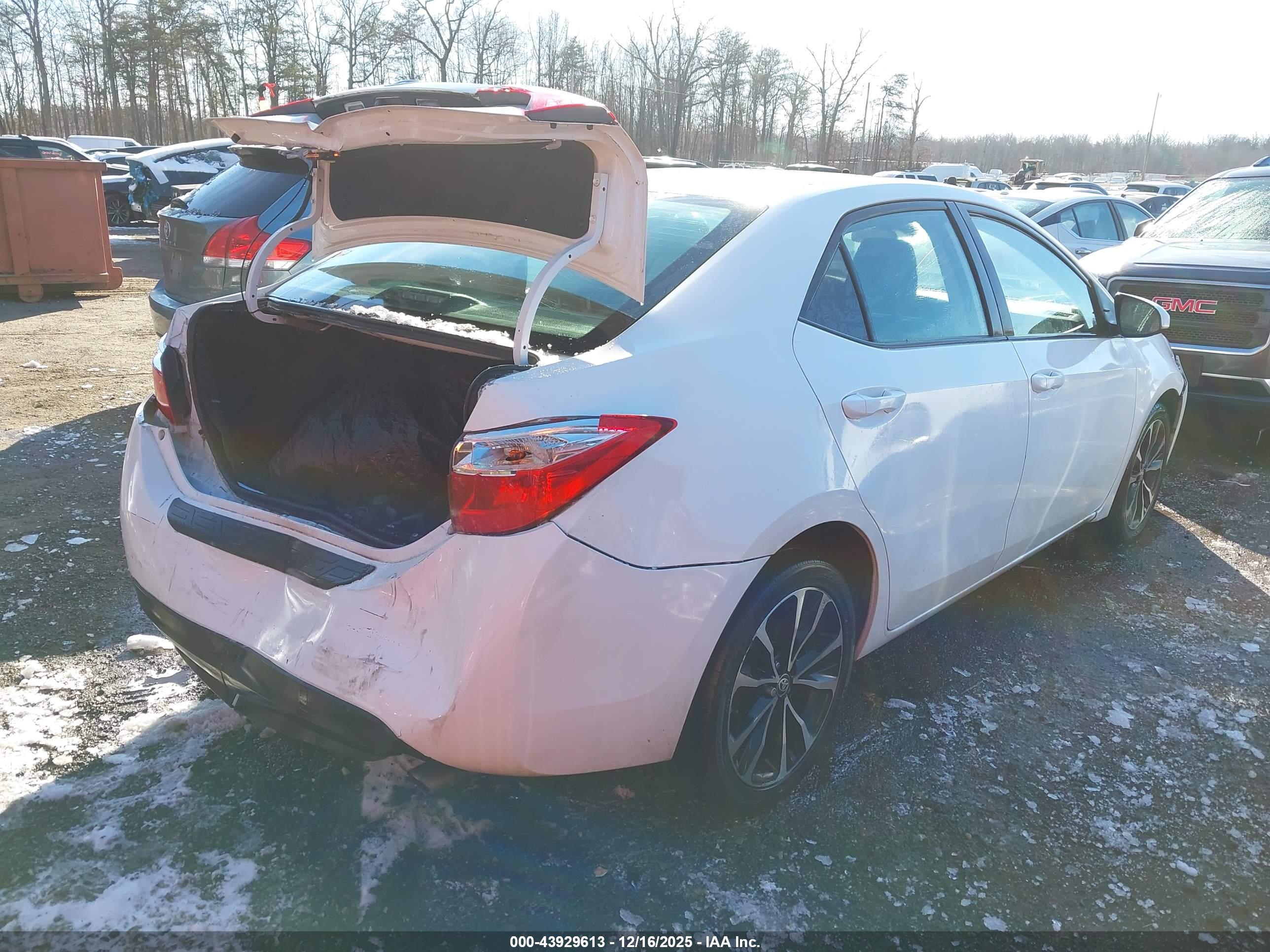 TOYOTA COROLLA image 4