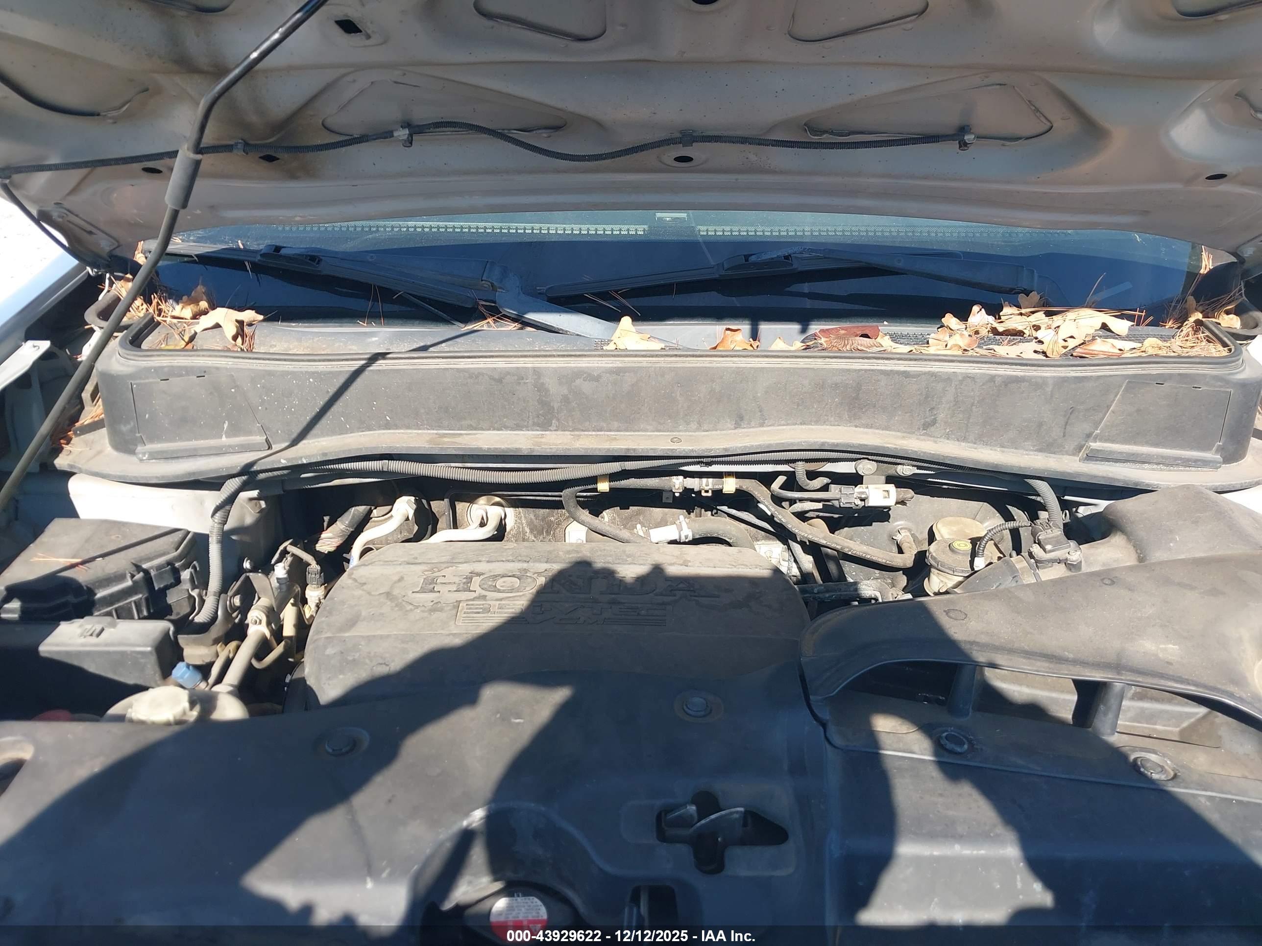 HONDA PILOT image 10