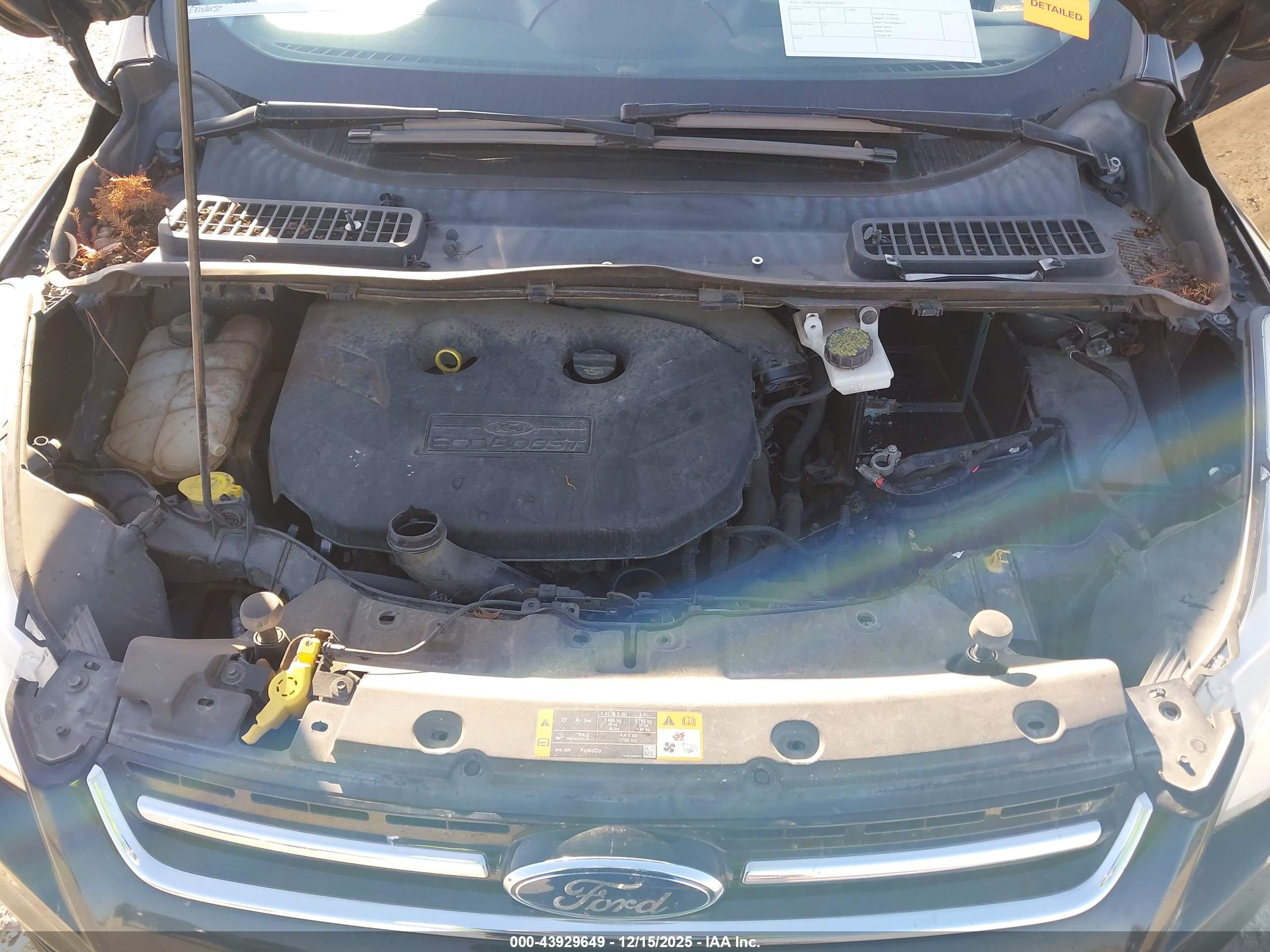 FORD ESCAPE image 10