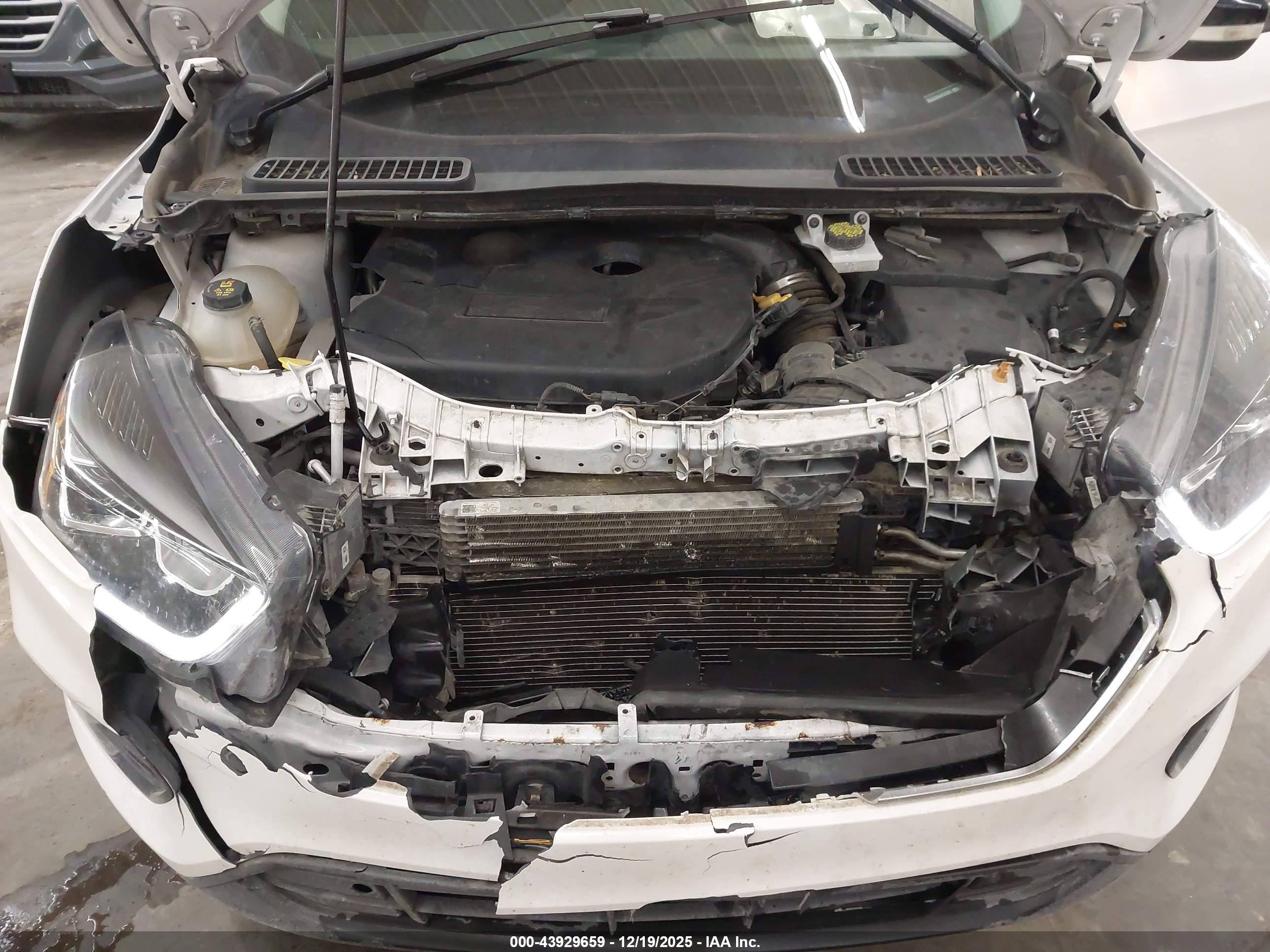 FORD ESCAPE image 10