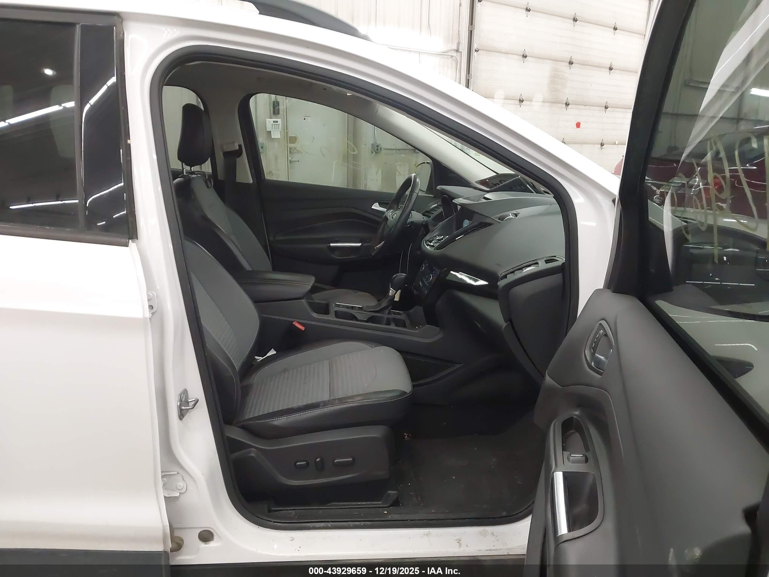 FORD ESCAPE image 5