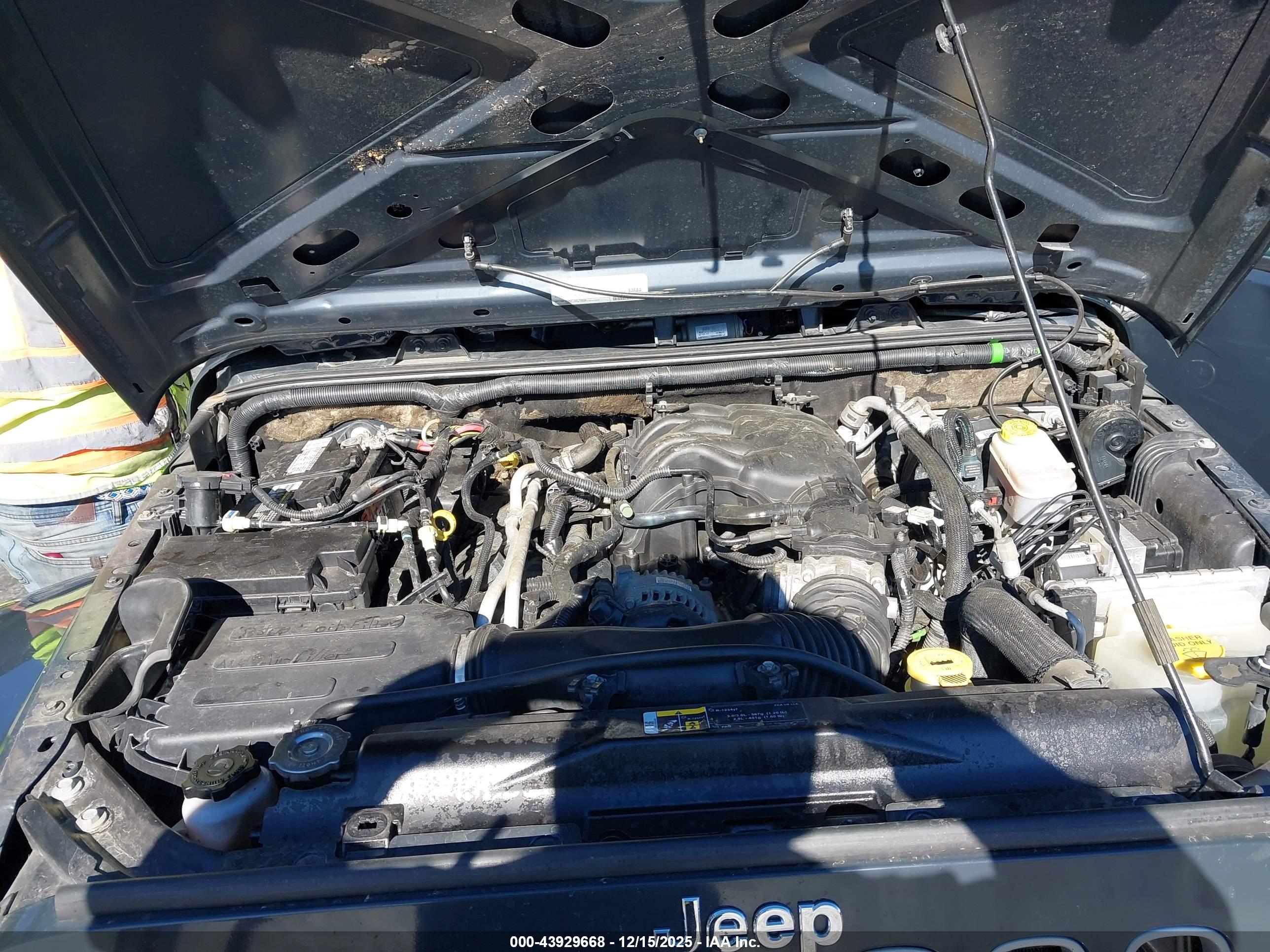 JEEP WRANGLER image 10