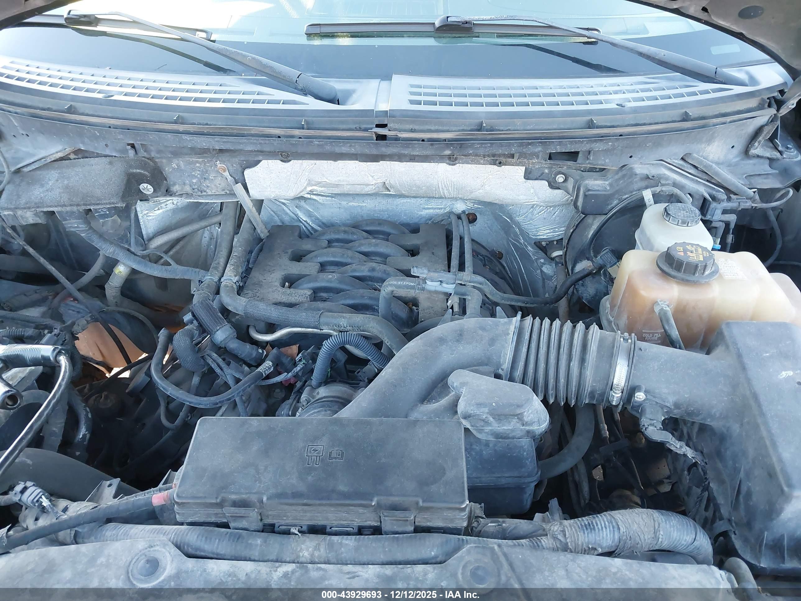 FORD F-150 image 10