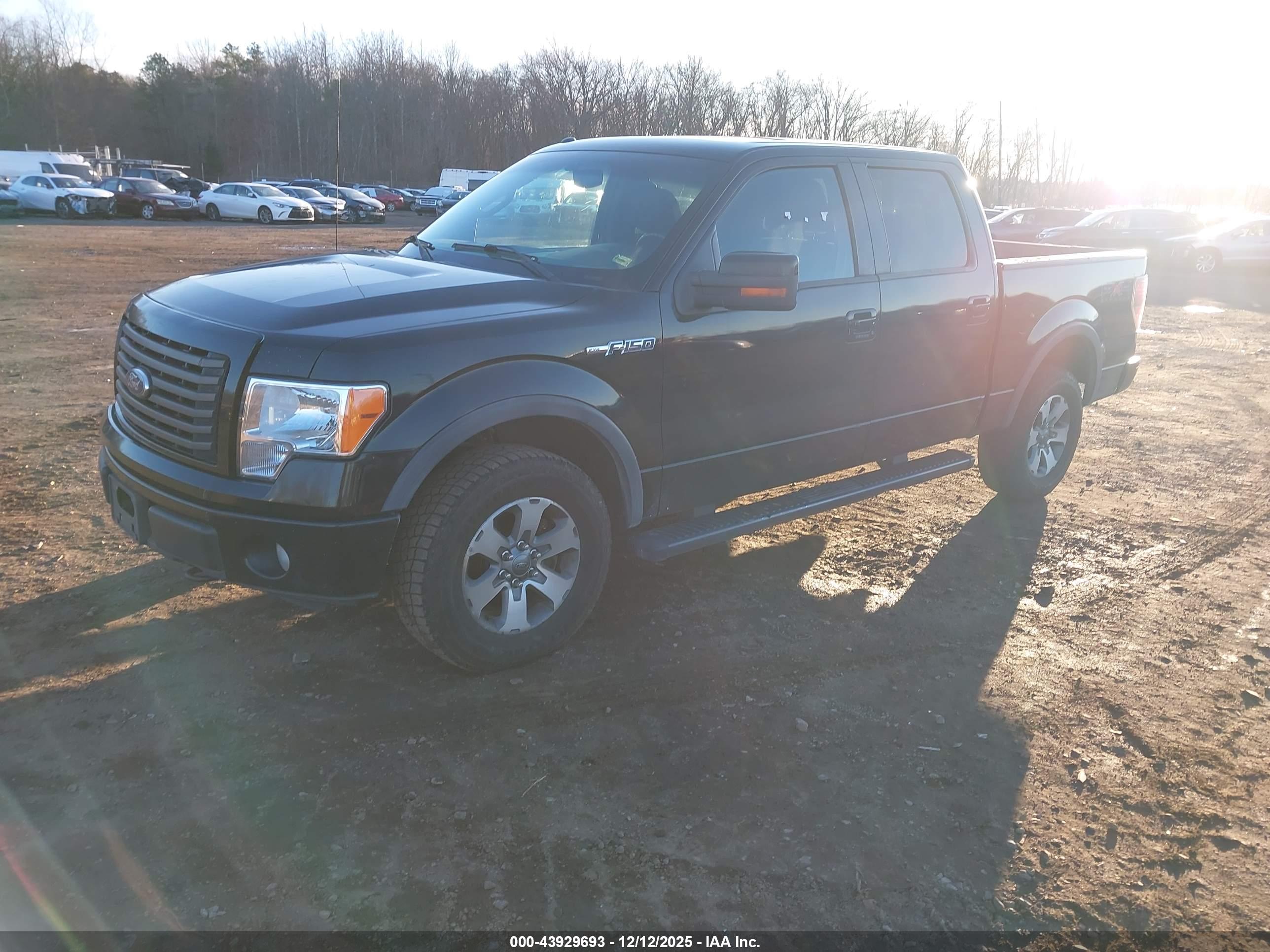 FORD F-150 image 2