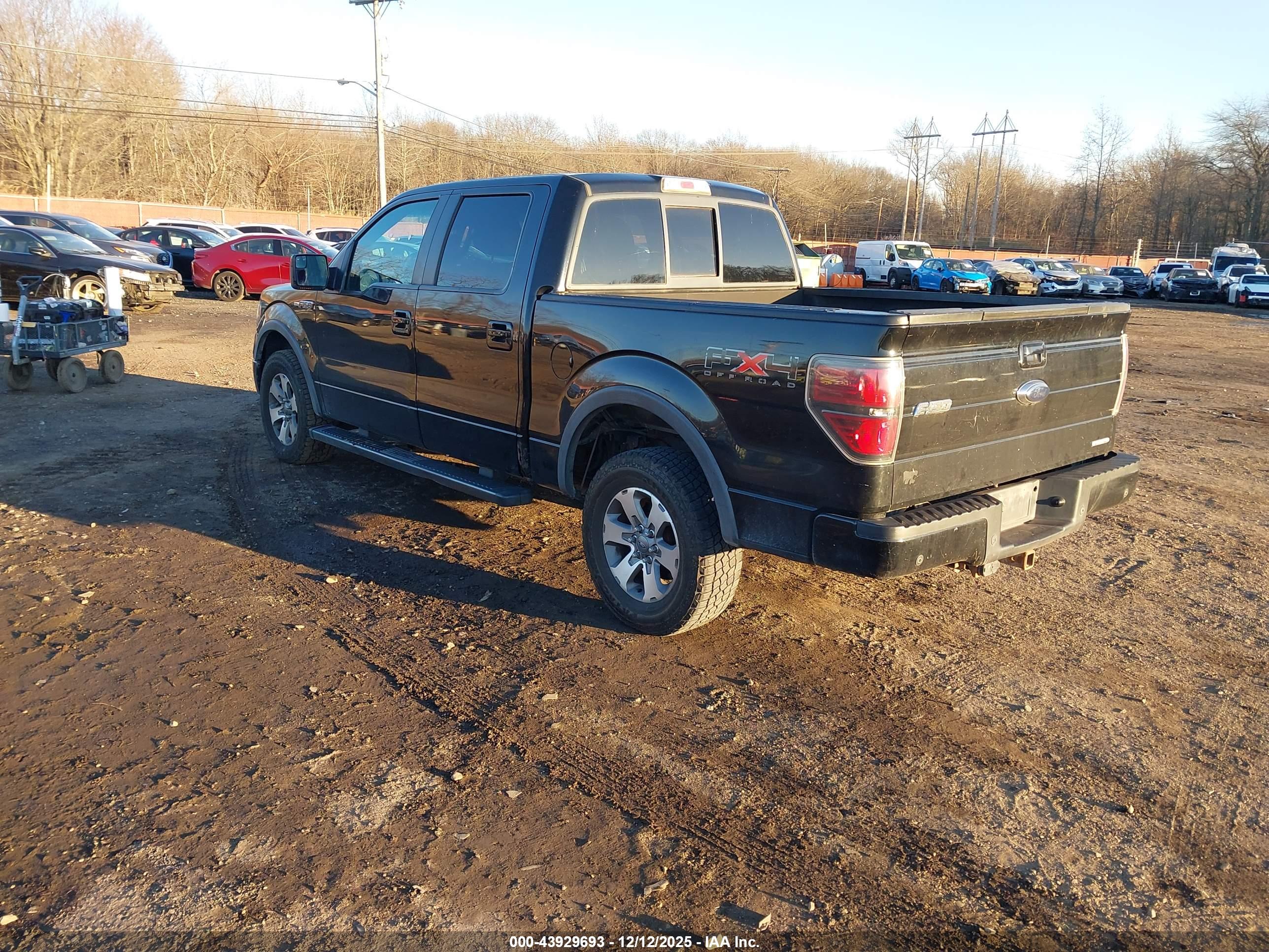 FORD F-150 image 3