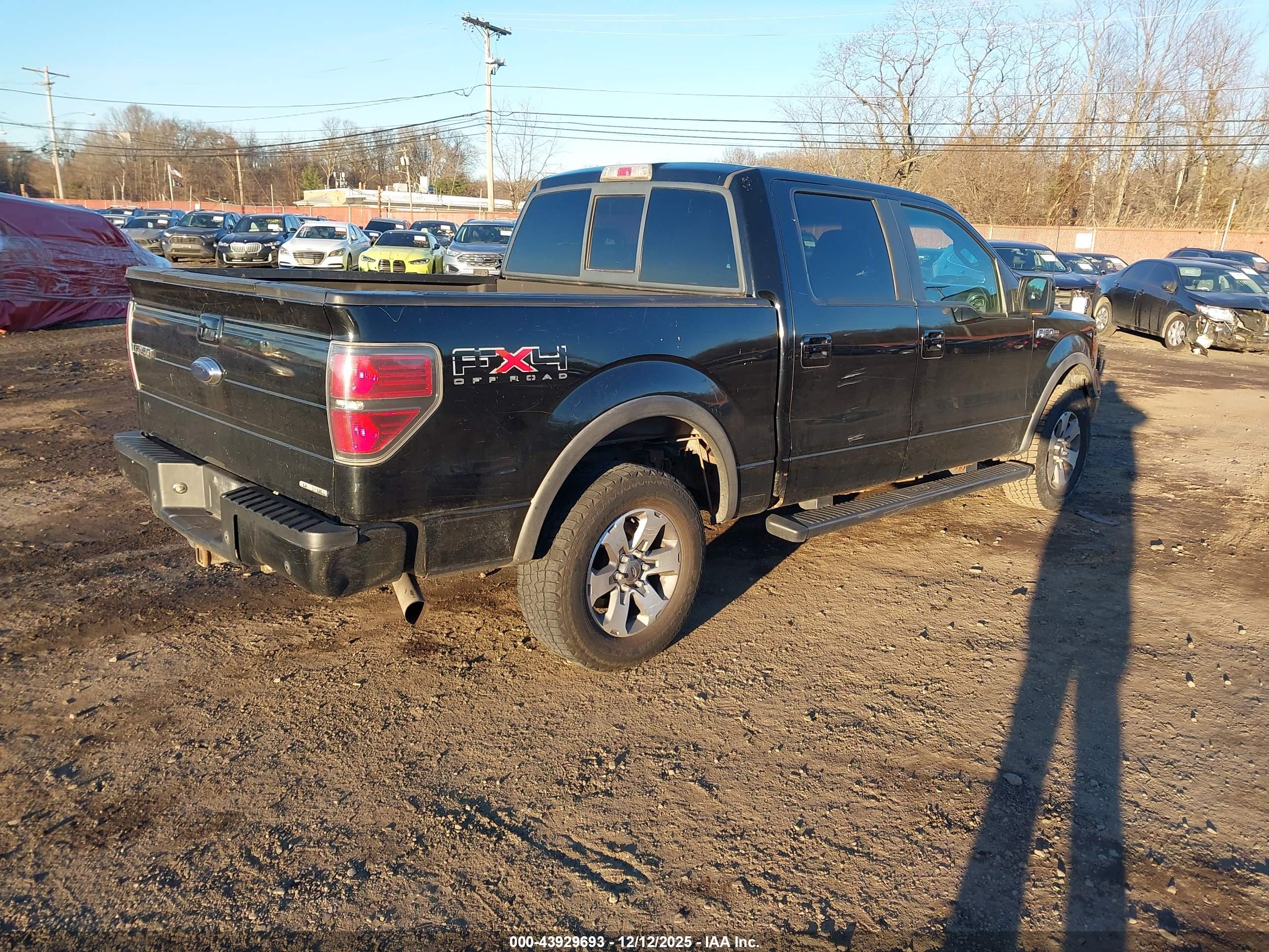 FORD F-150 image 4
