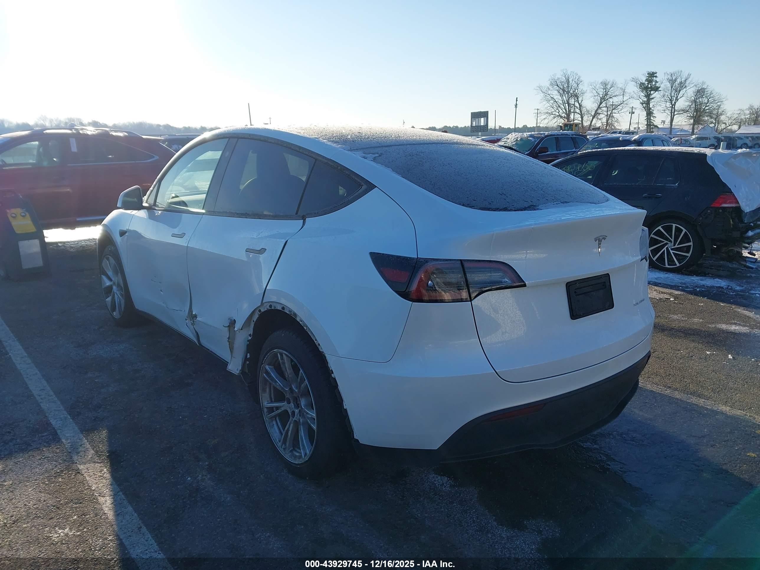 TESLA MODEL image 3