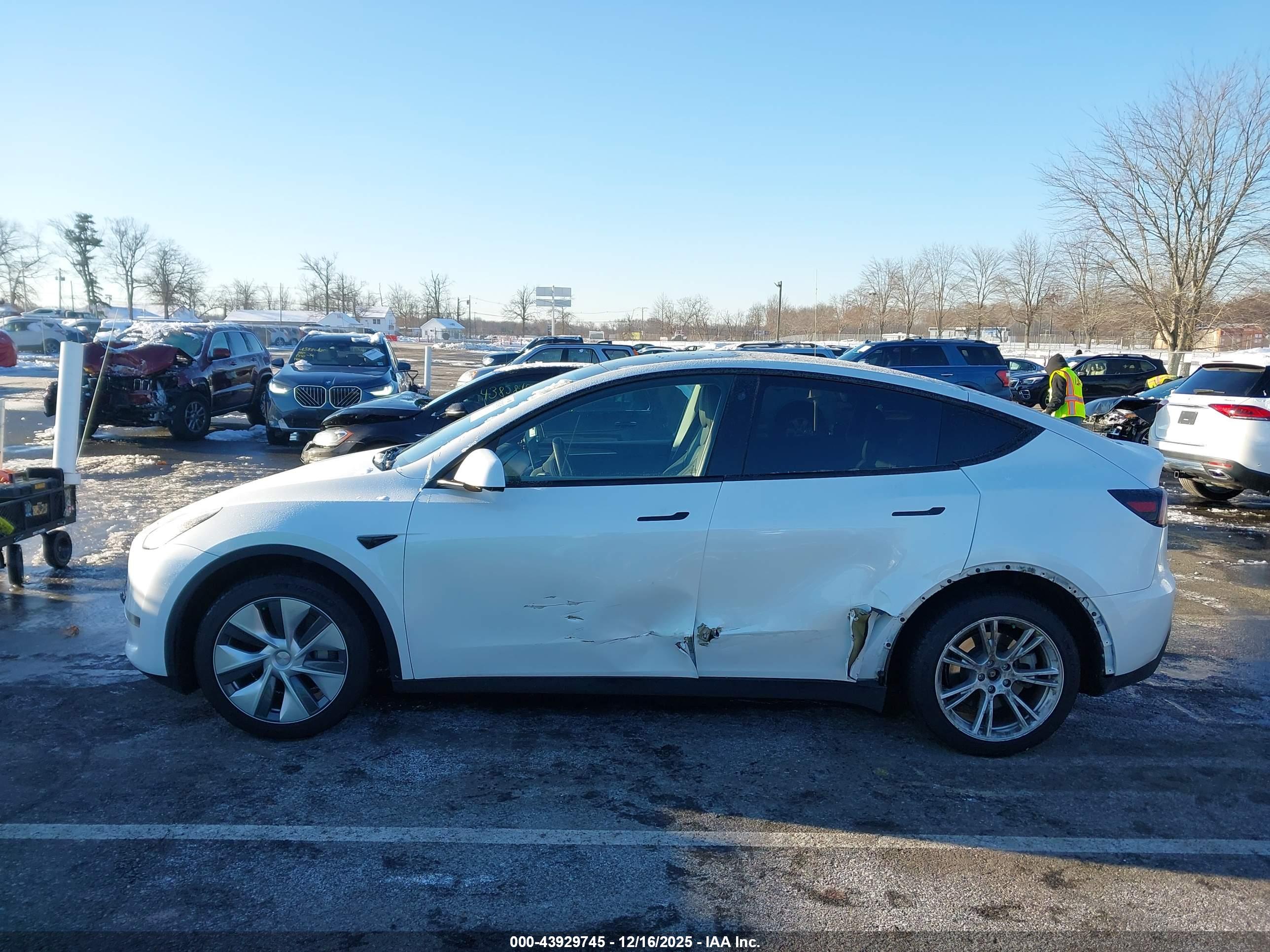 TESLA MODEL image 6