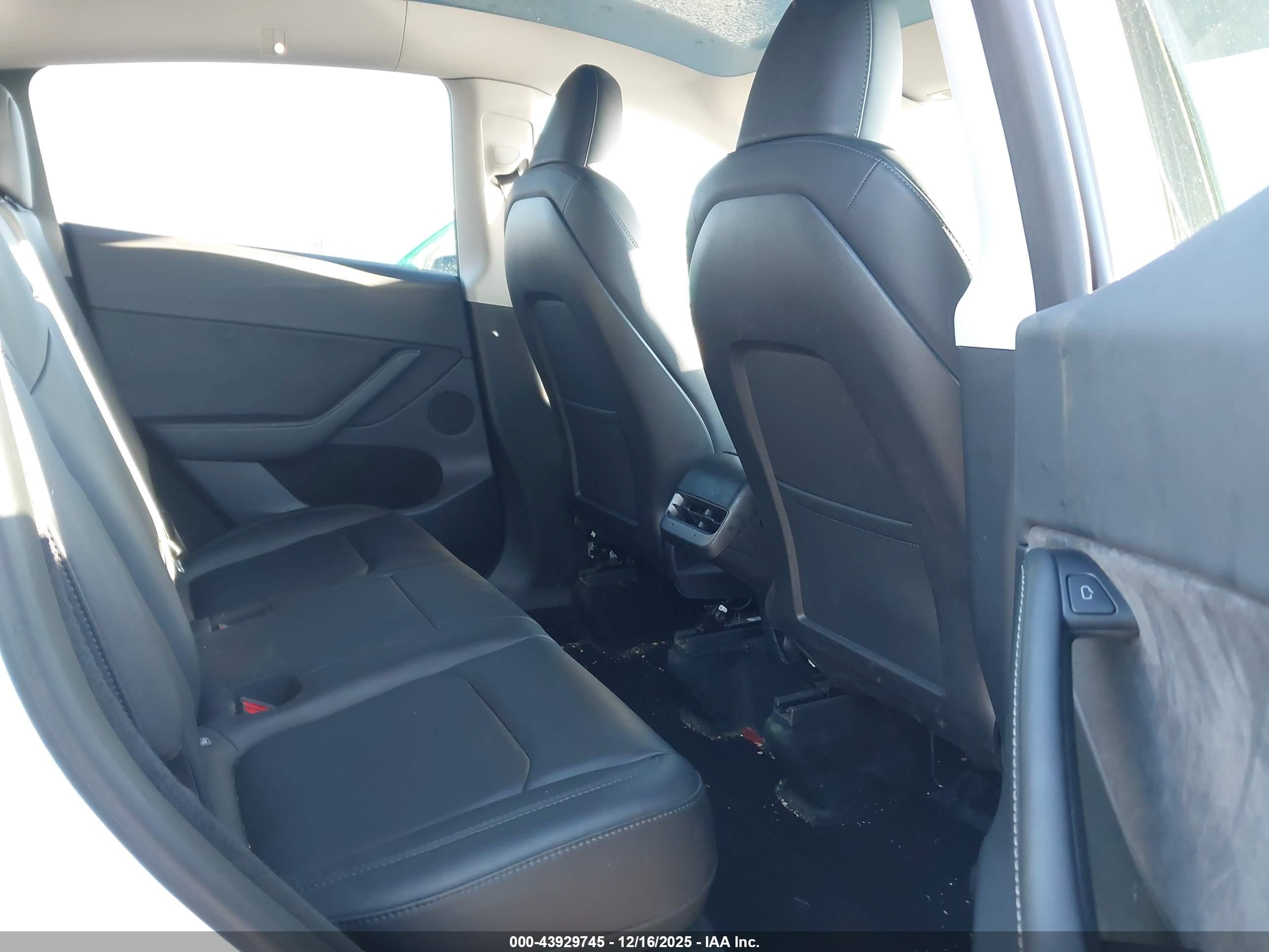 TESLA MODEL image 8