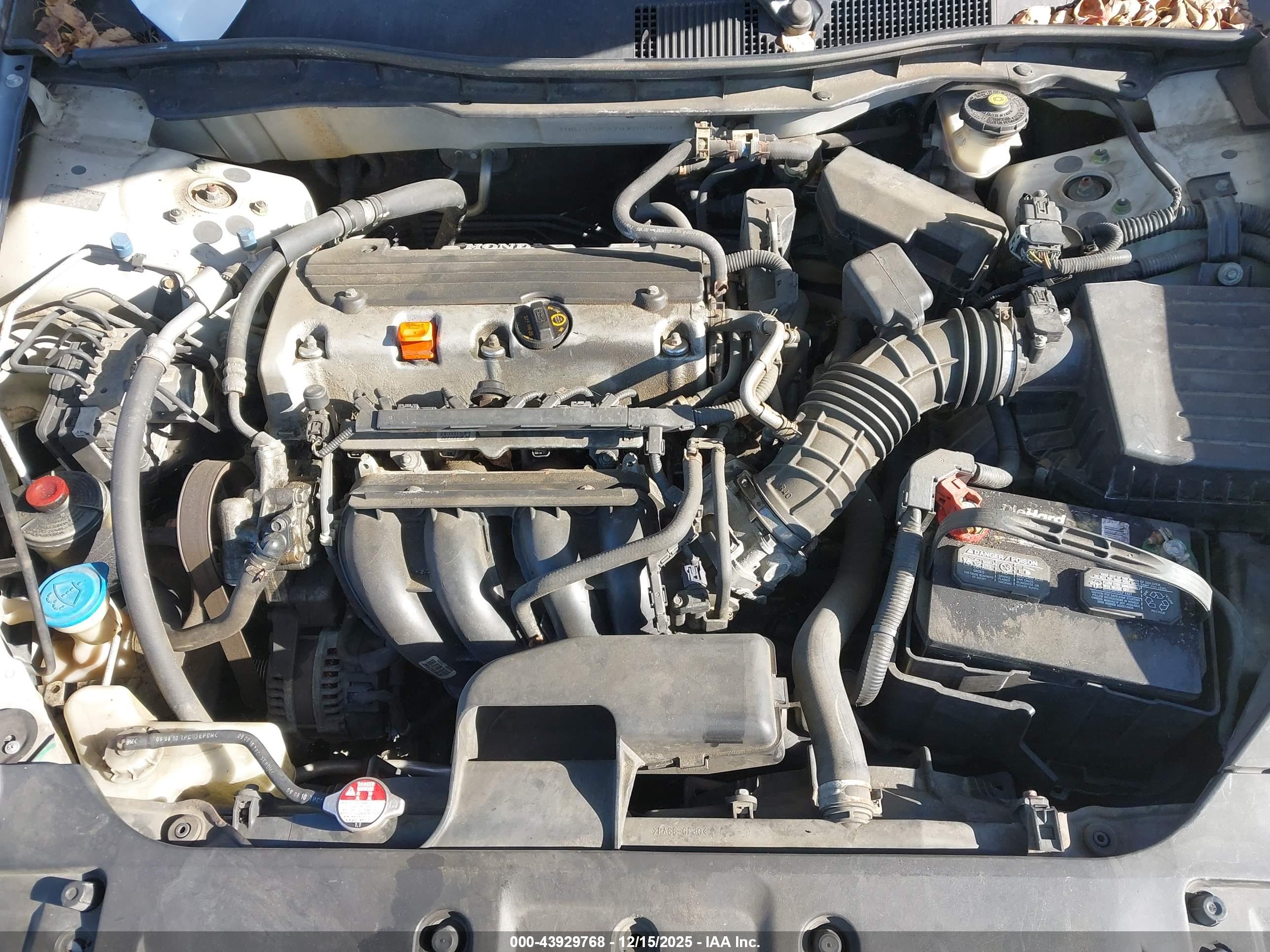 HONDA ACCORD image 10