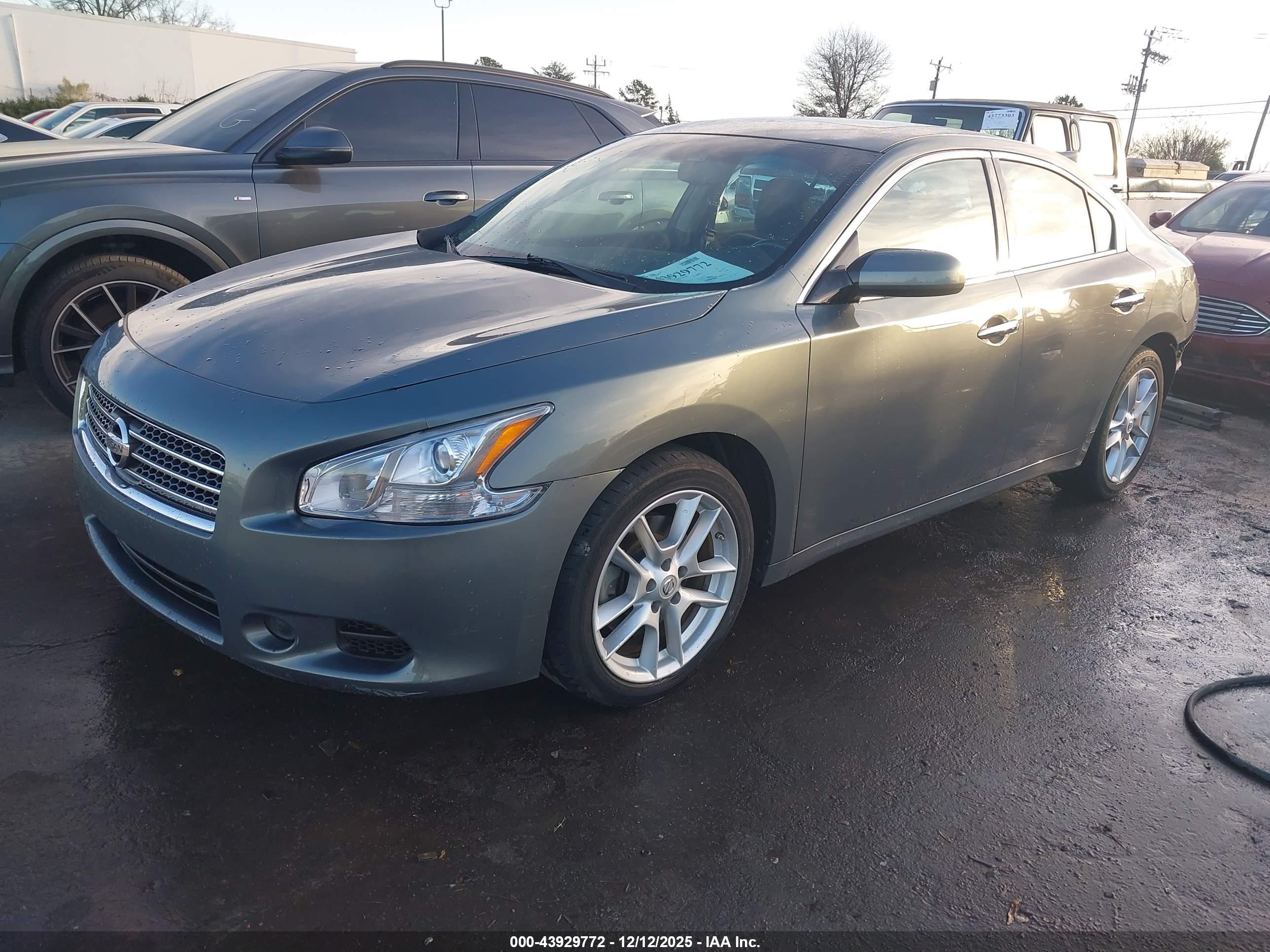 NISSAN MAXIMA image 2