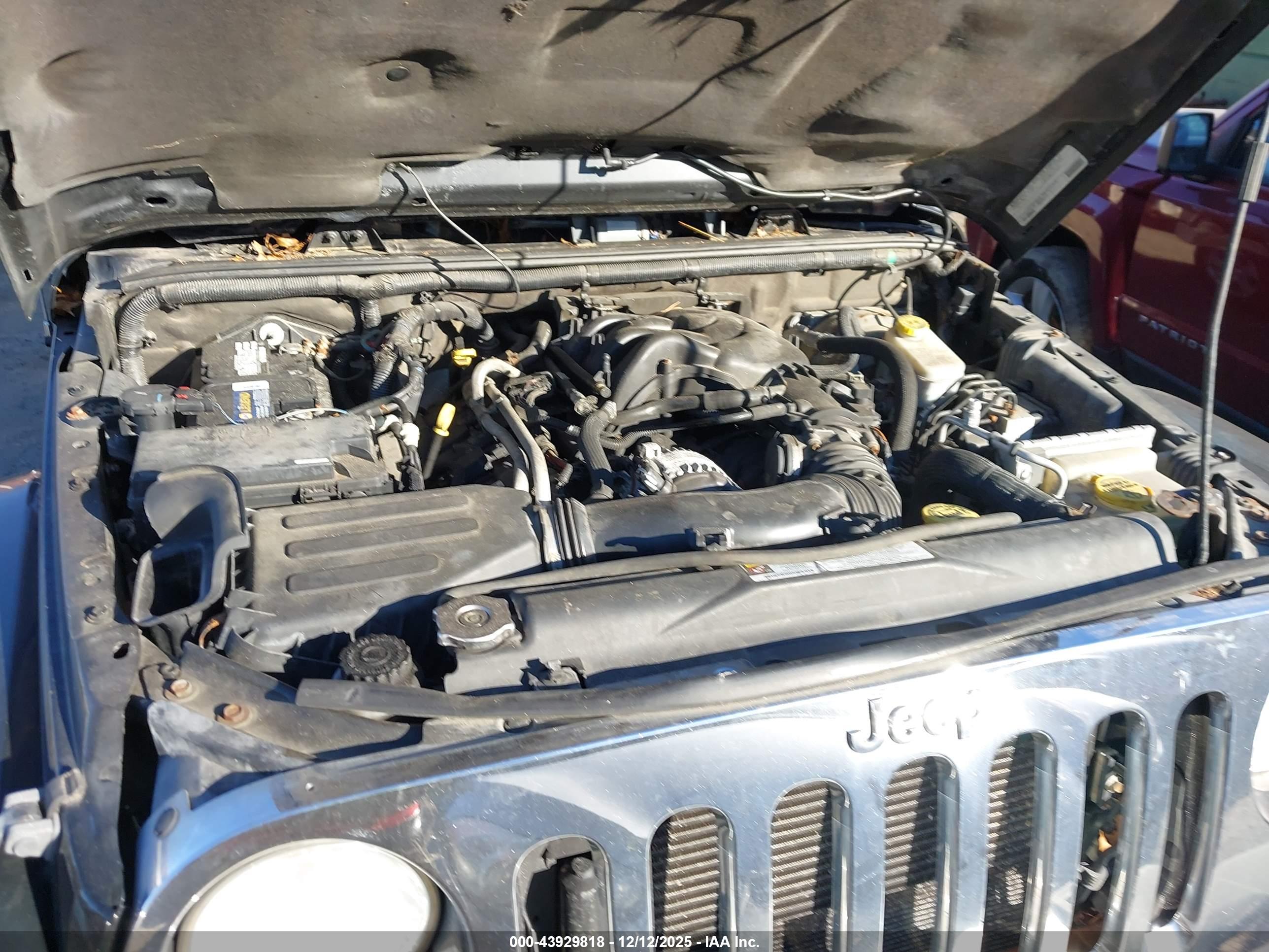 JEEP WRANGLER image 10