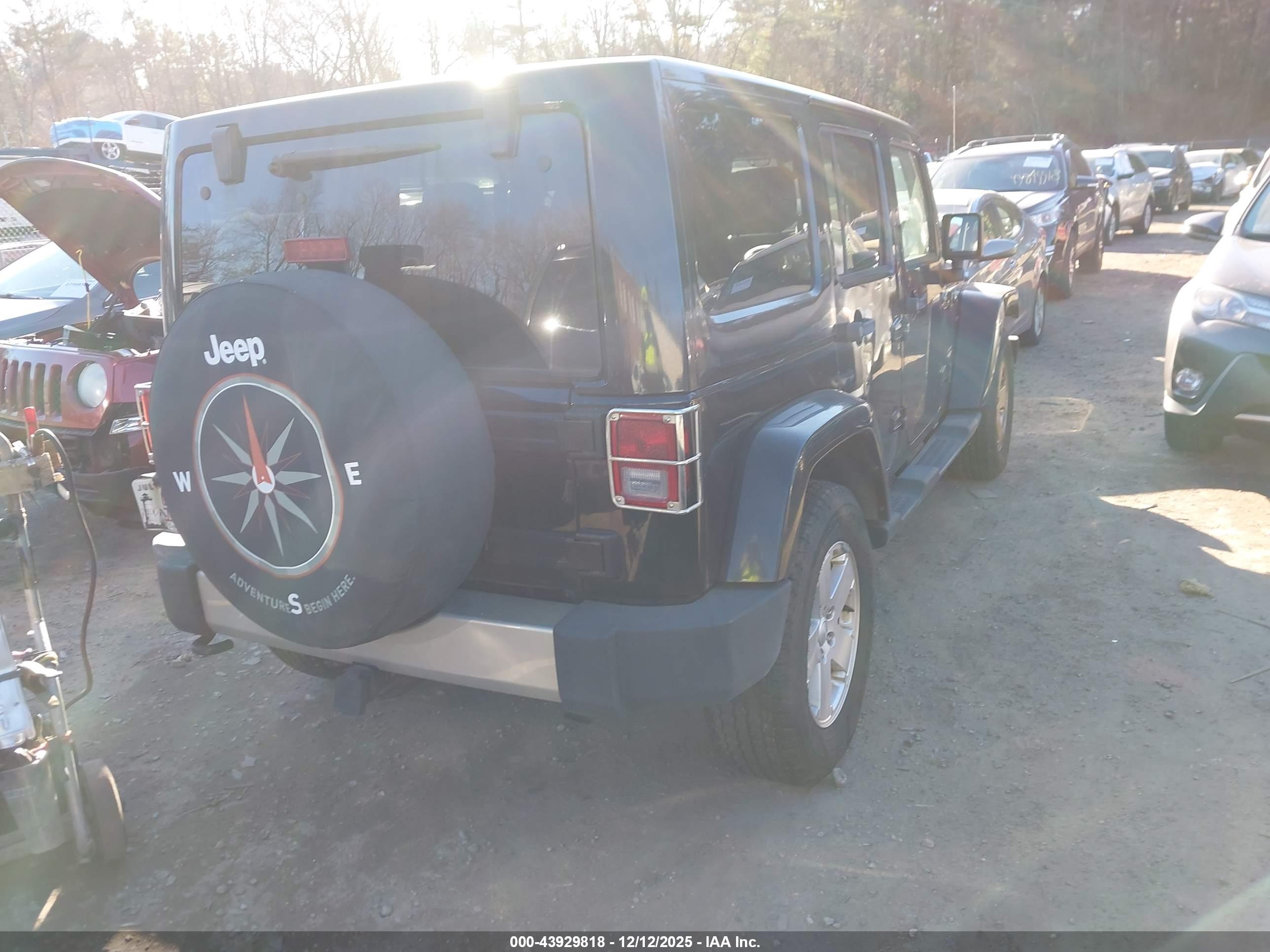 JEEP WRANGLER image 4
