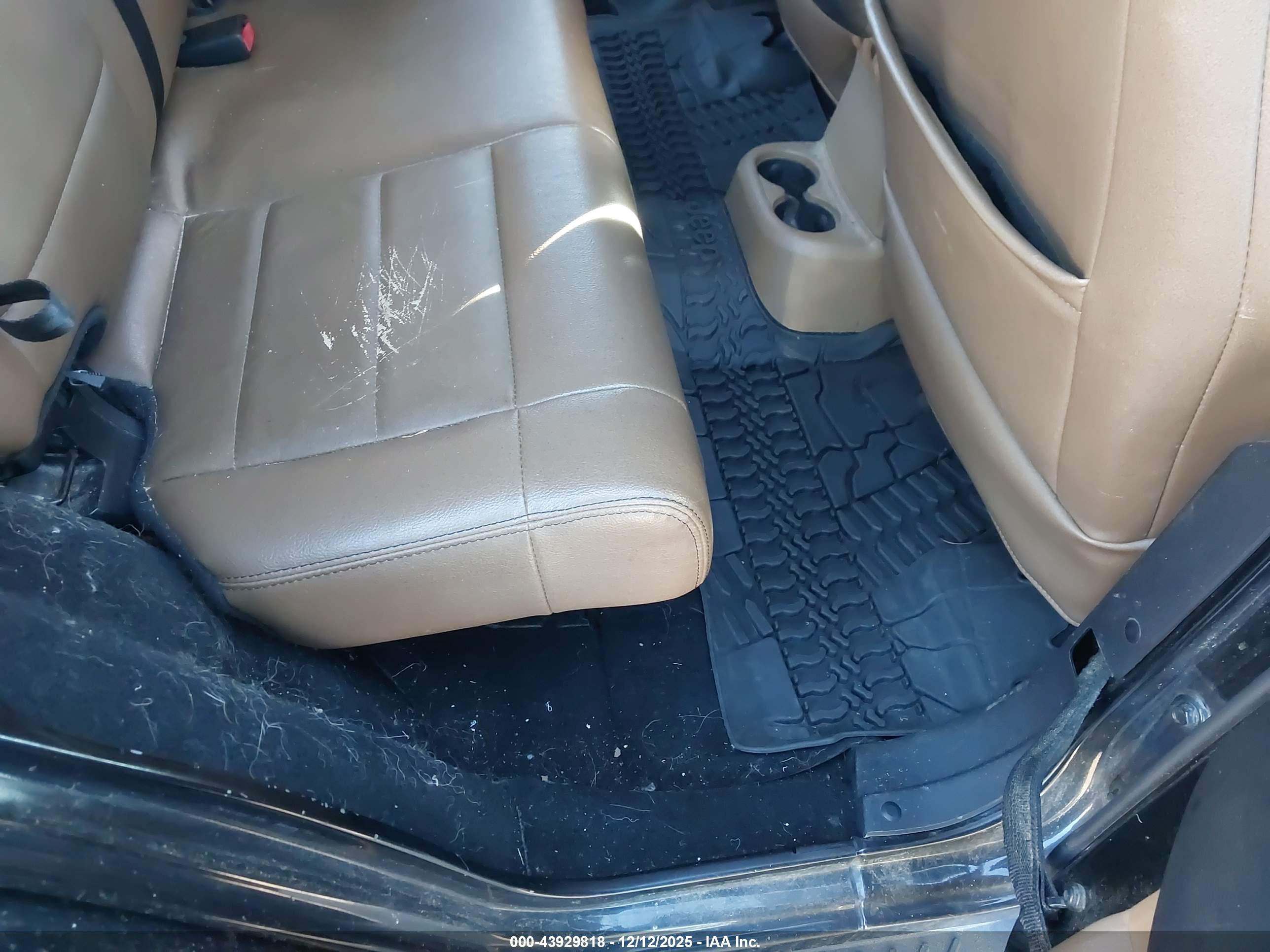 JEEP WRANGLER image 8