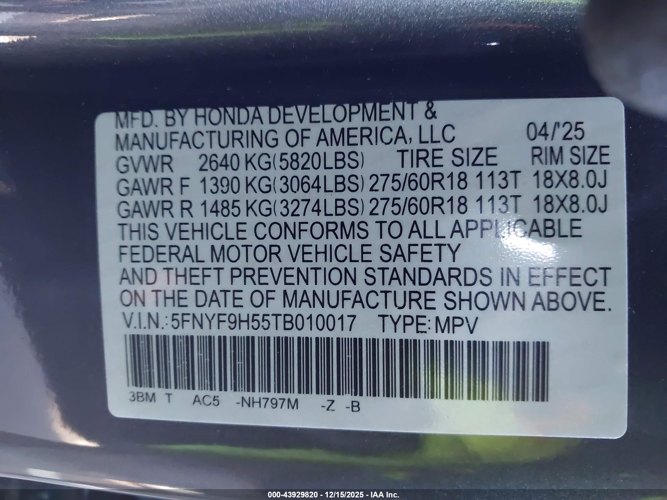 HONDA PASSPORT image 9