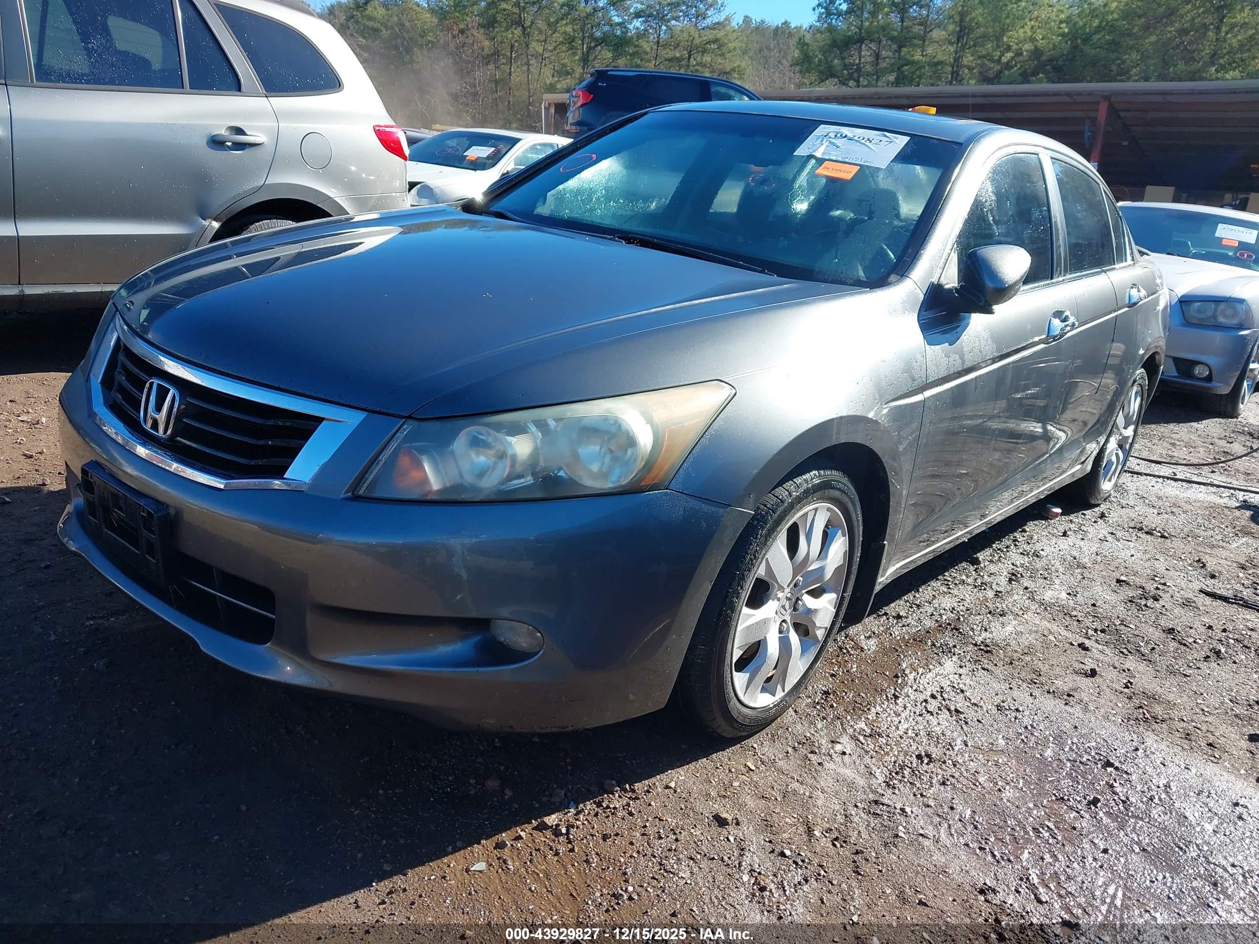 HONDA ACCORD image 2