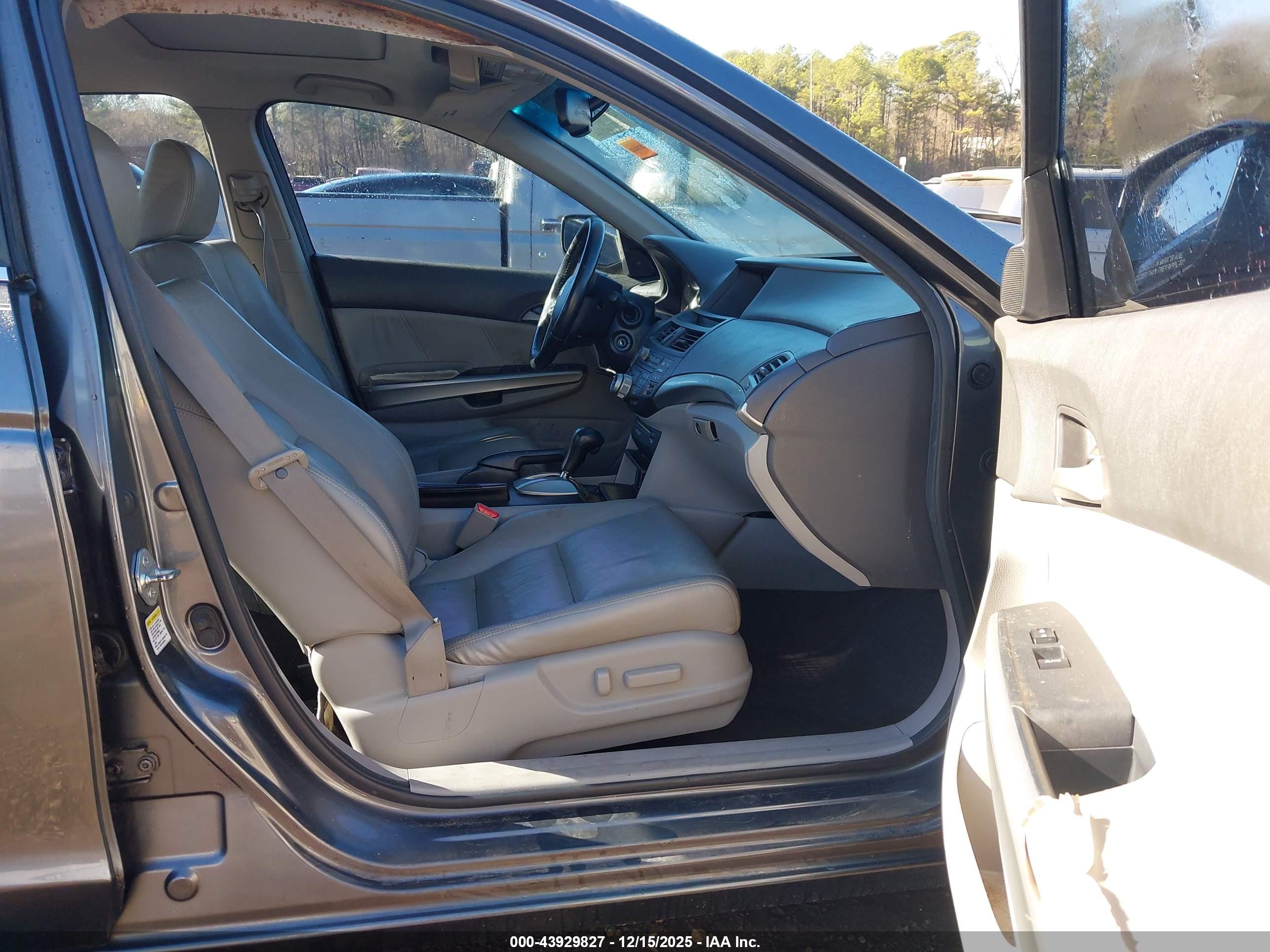 HONDA ACCORD image 5