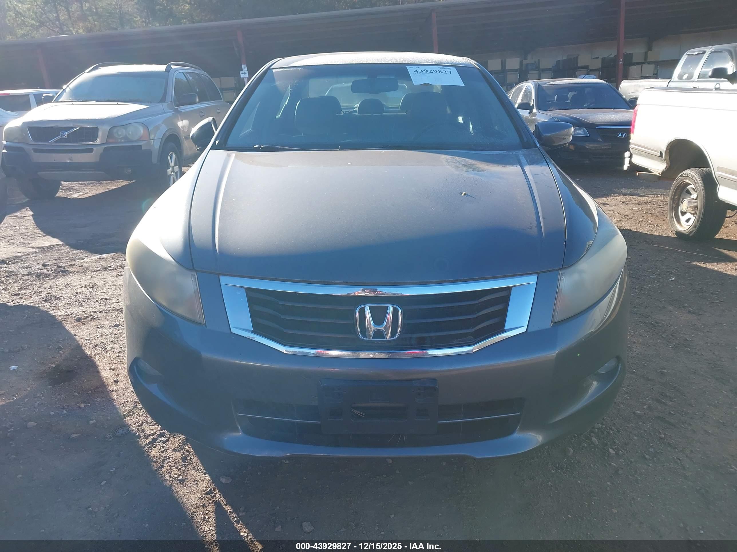 HONDA ACCORD image 6