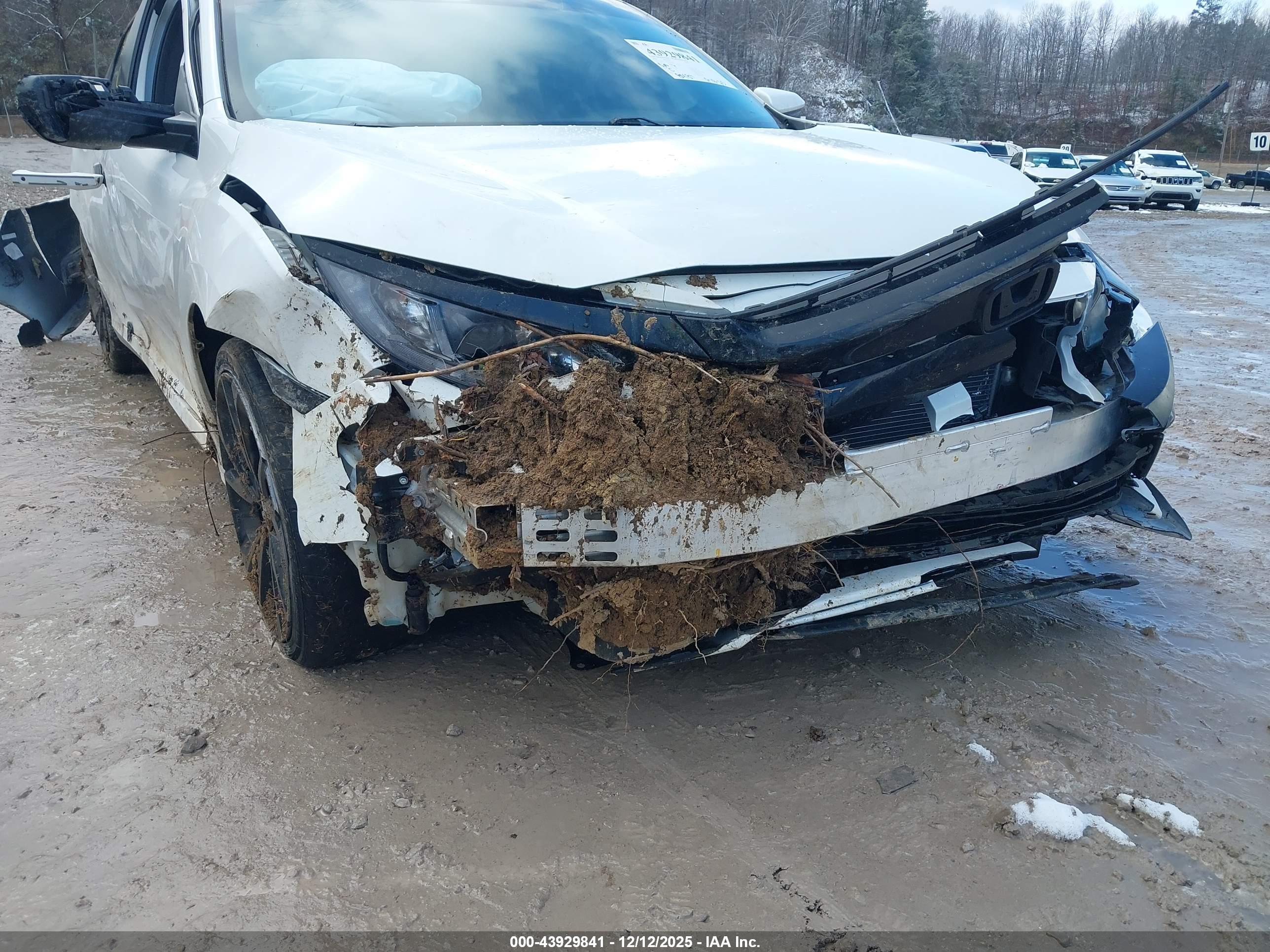 HONDA CIVIC image 6