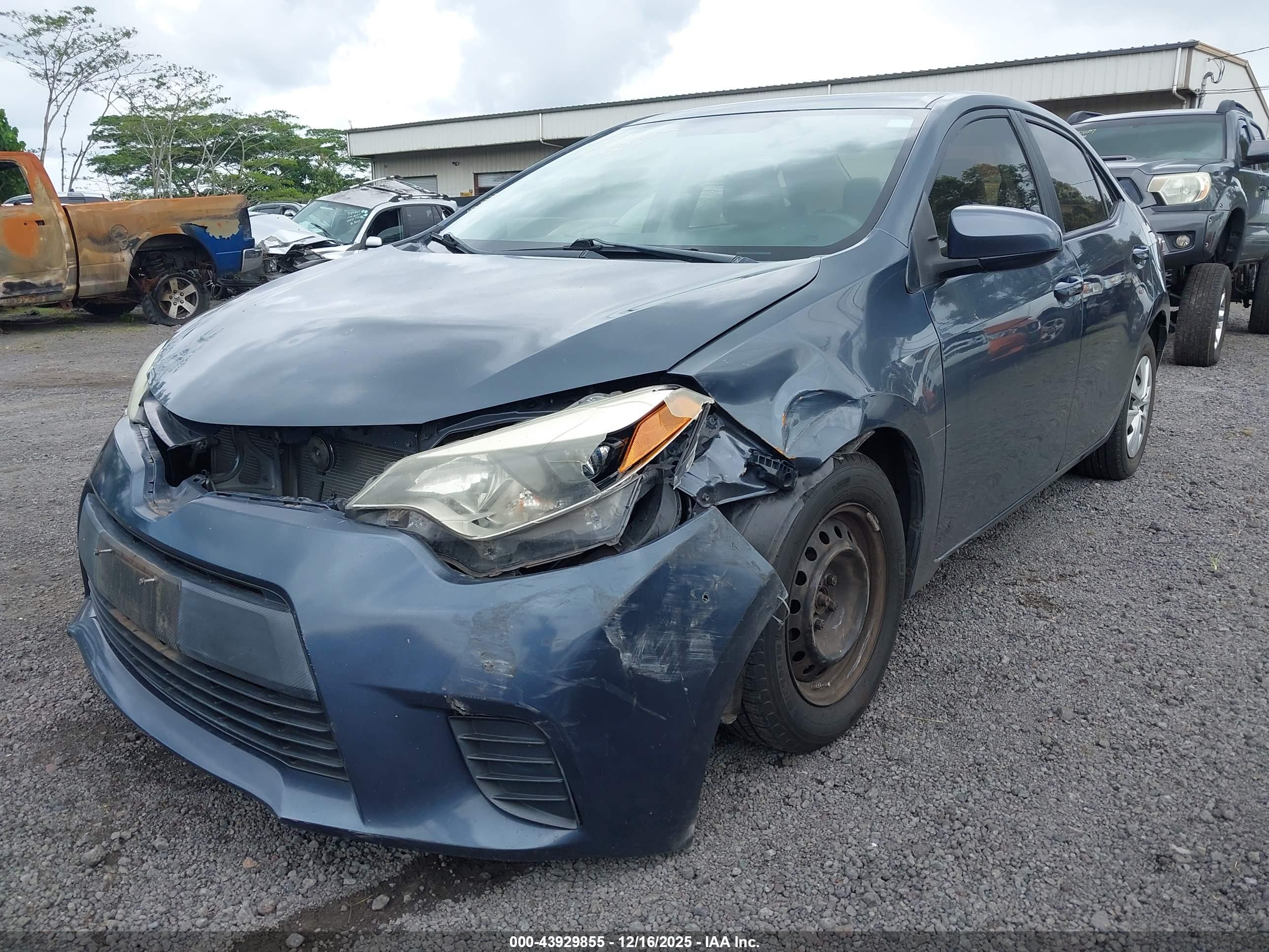 TOYOTA COROLLA image 6