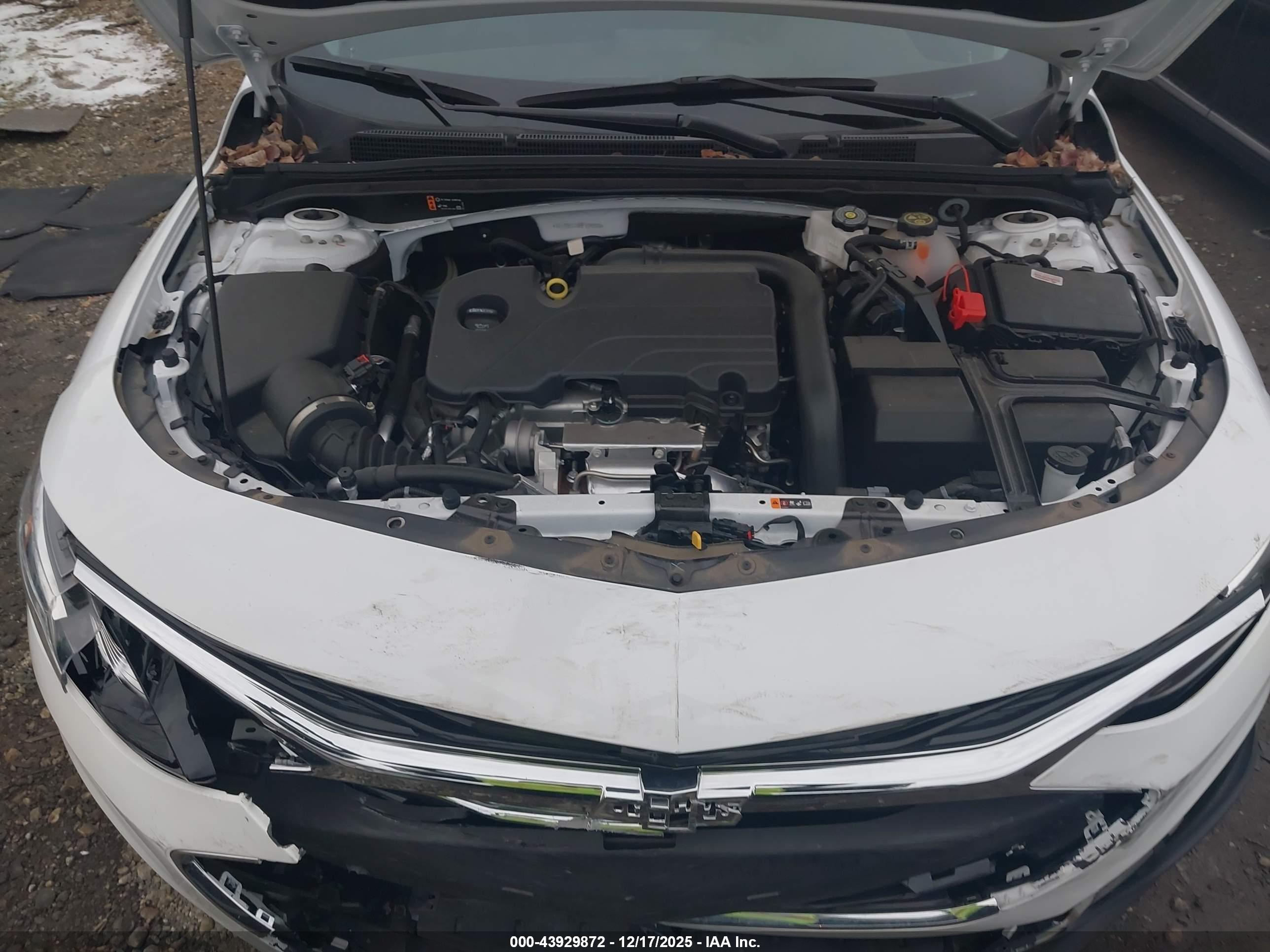 CHEVROLET MALIBU image 10