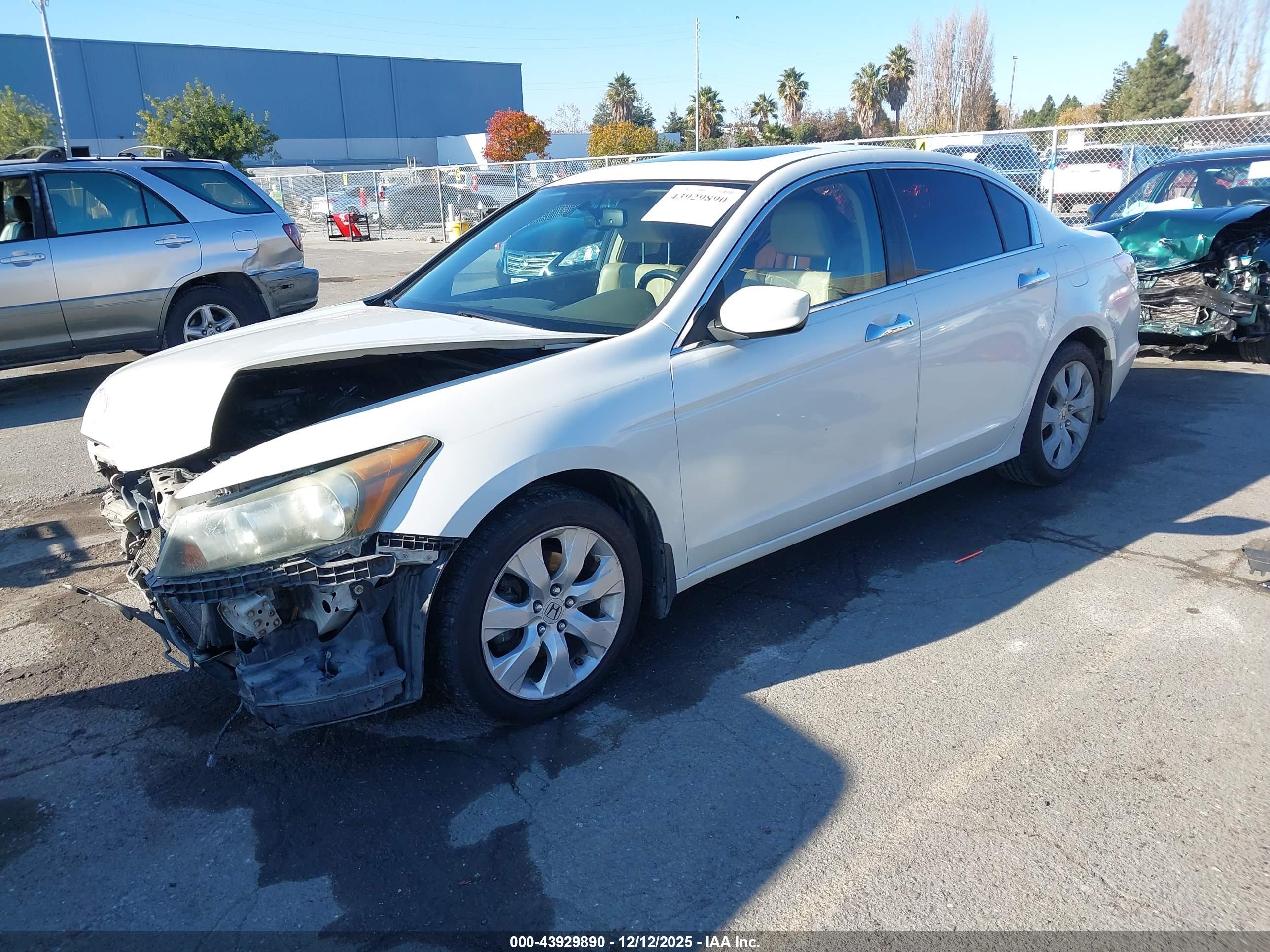 HONDA ACCORD image 2
