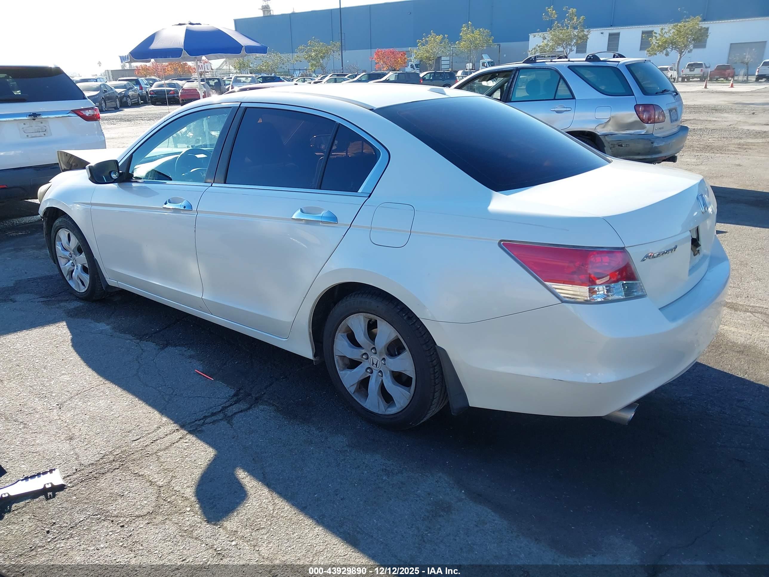 HONDA ACCORD image 3