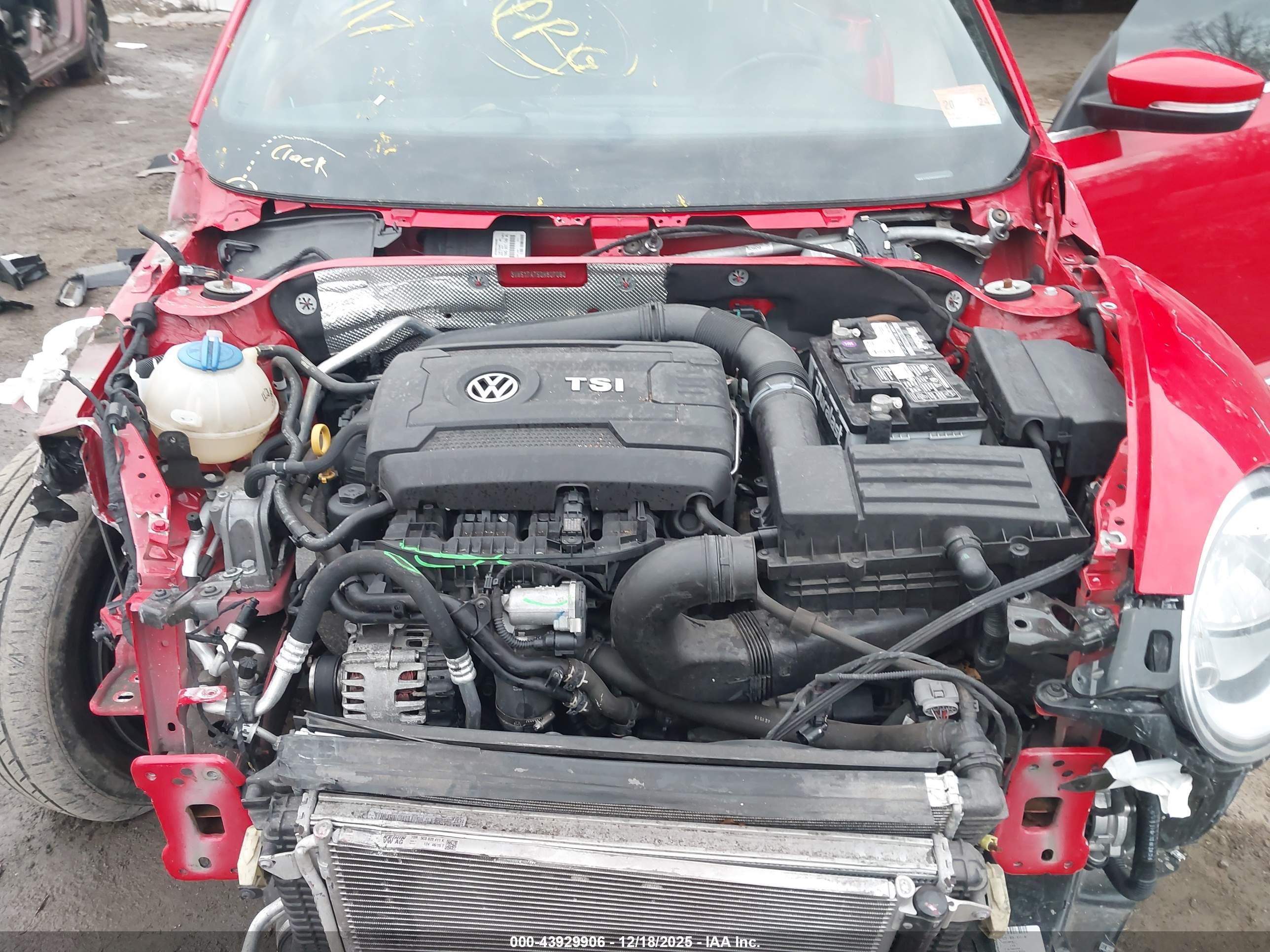 VOLKSWAGEN BEETLE image 10