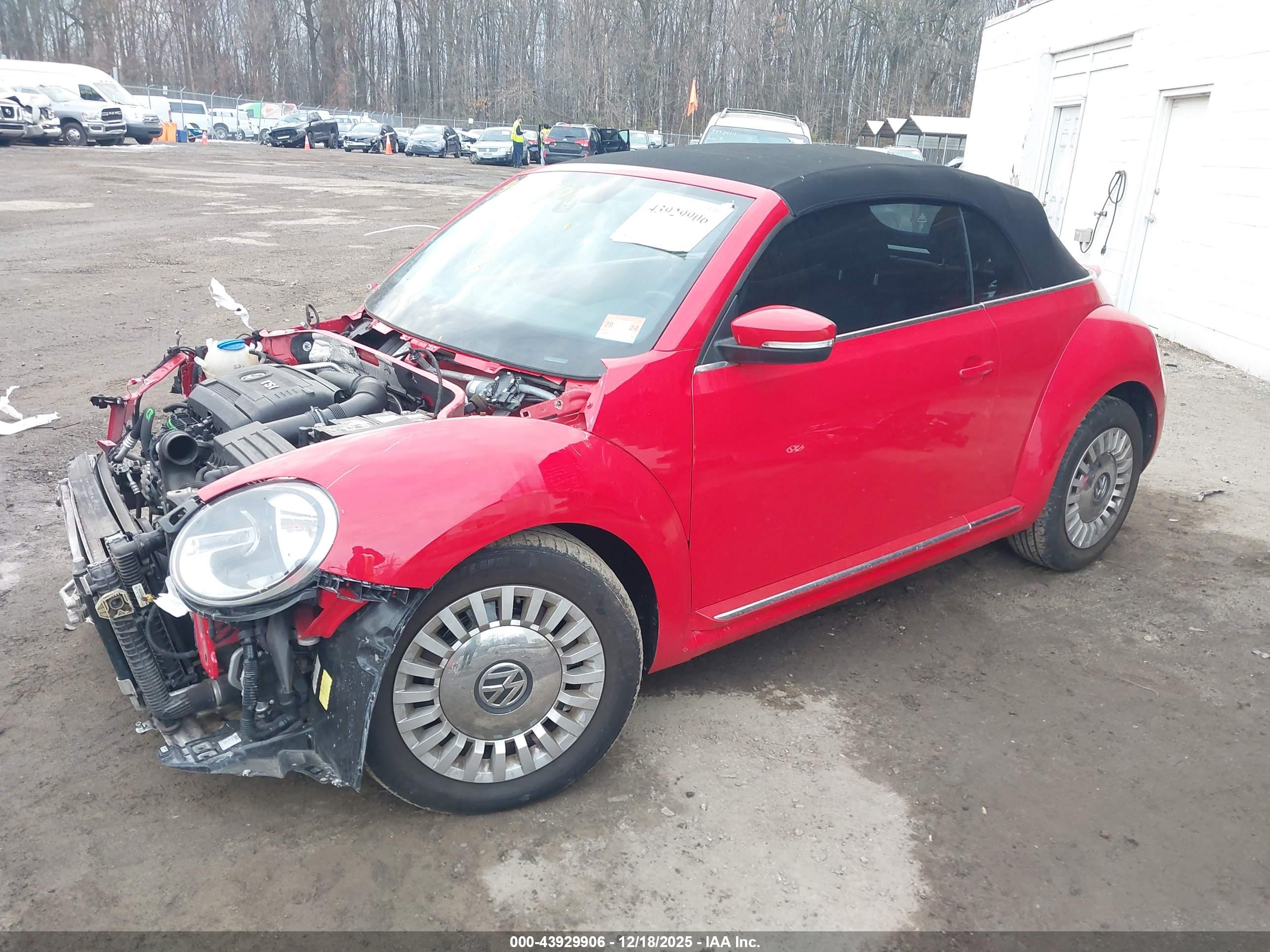 VOLKSWAGEN BEETLE image 2
