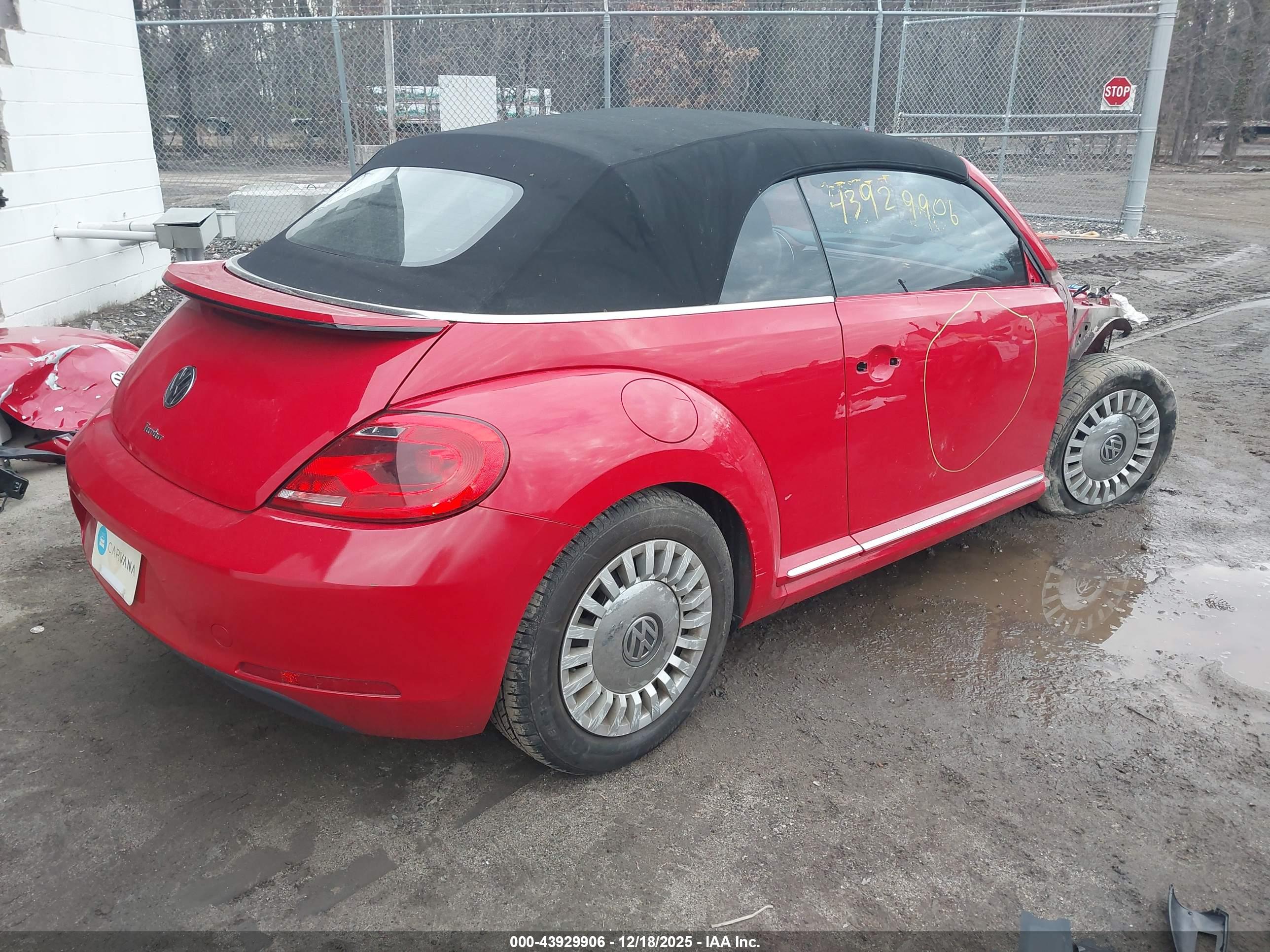VOLKSWAGEN BEETLE image 4