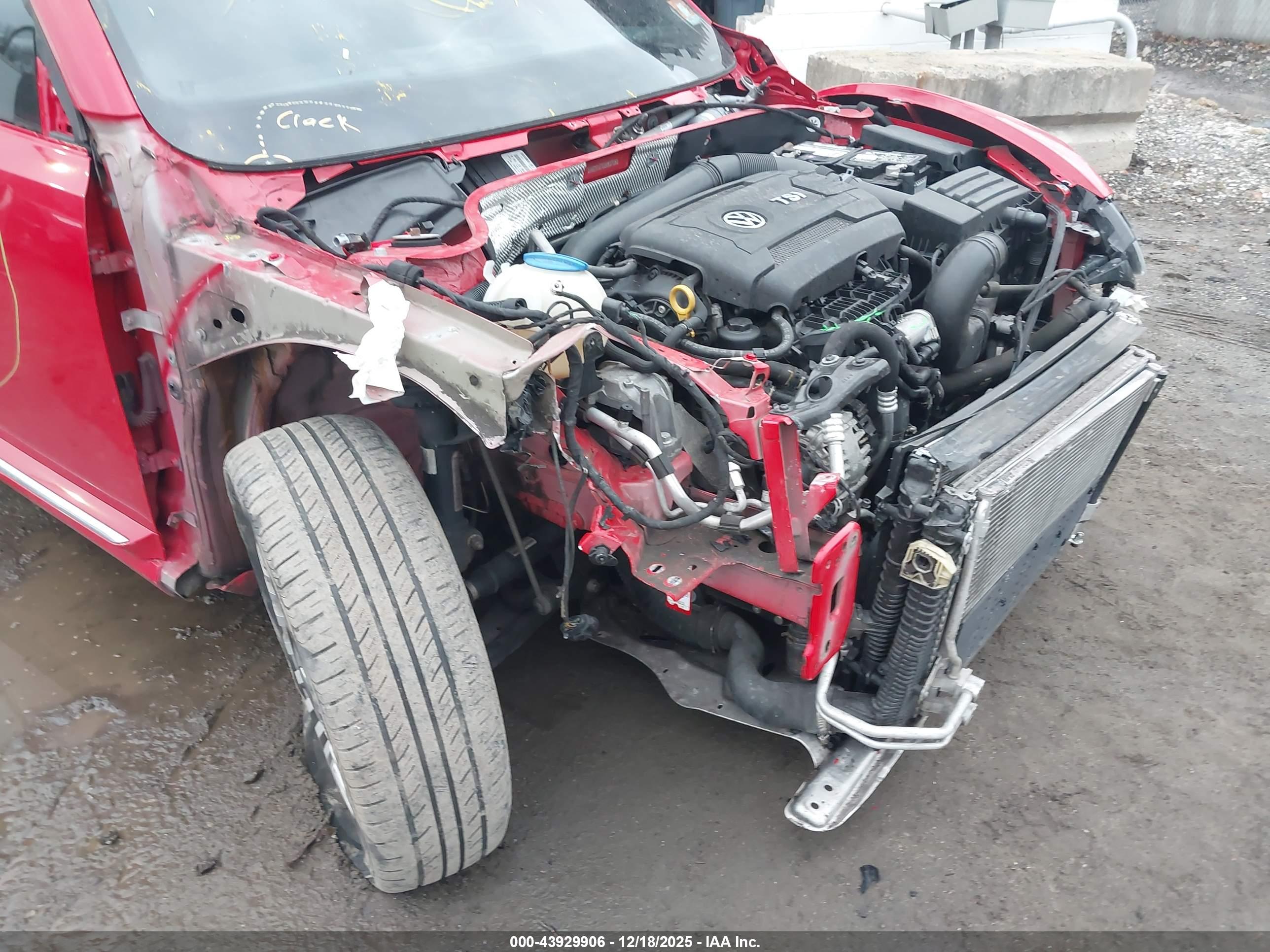 VOLKSWAGEN BEETLE image 6