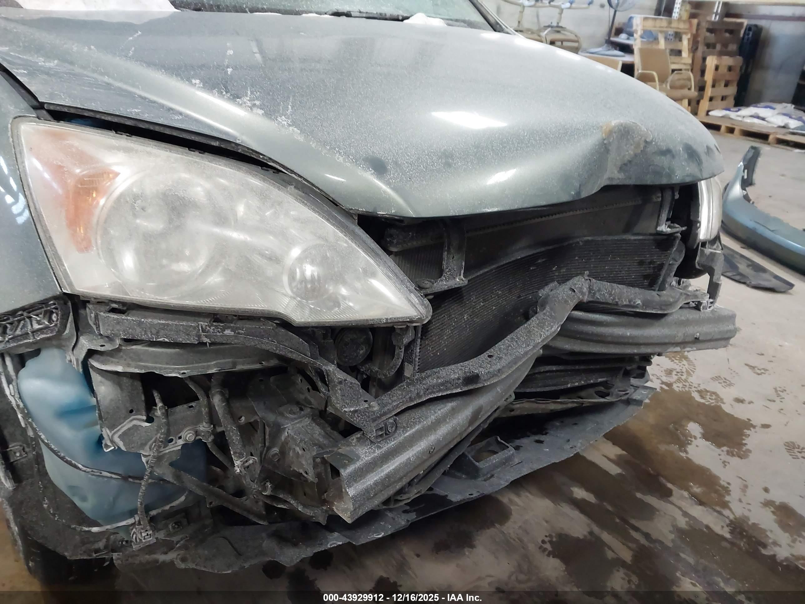 HONDA CR-V image 6