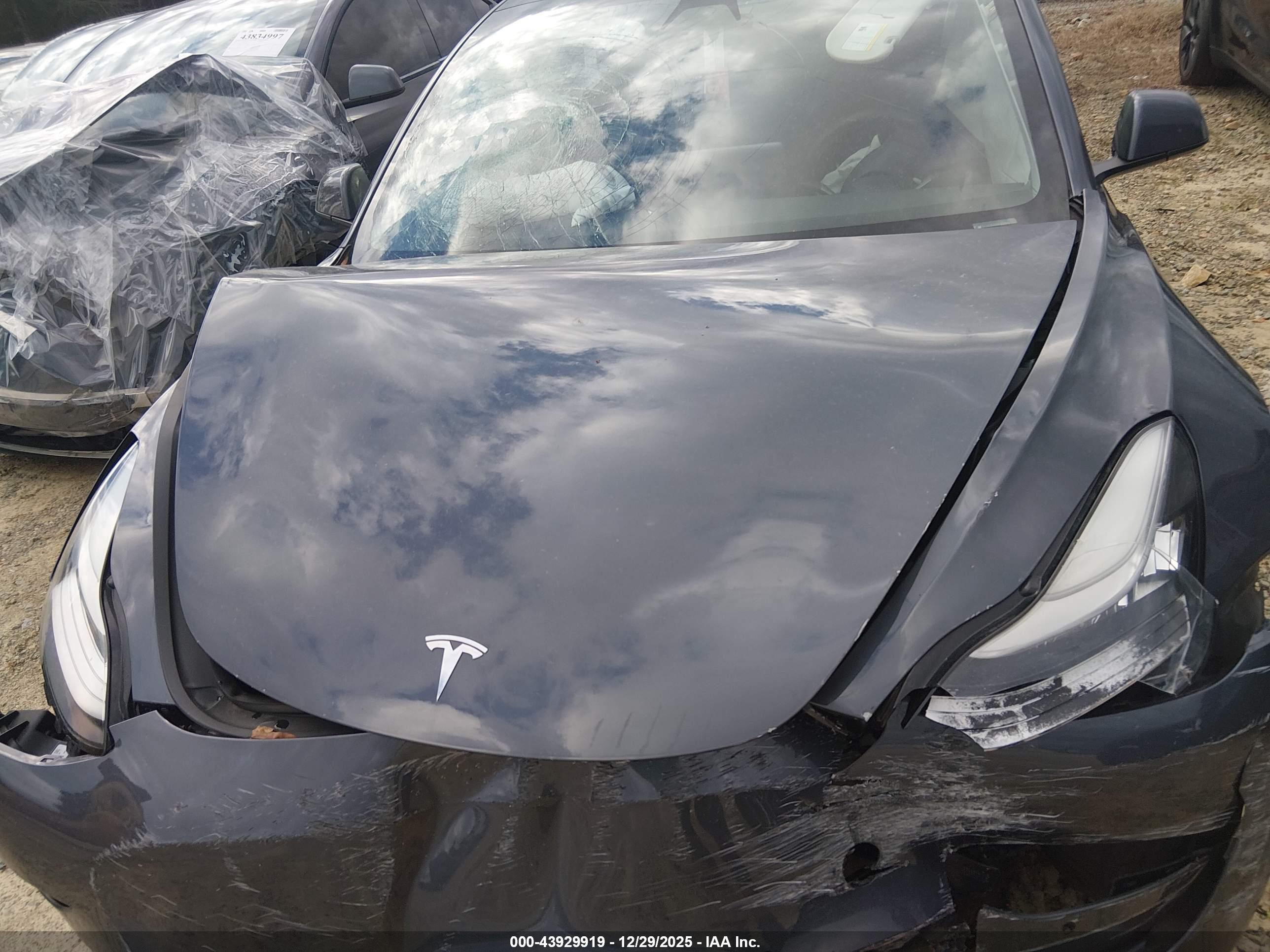 TESLA MODEL image 10