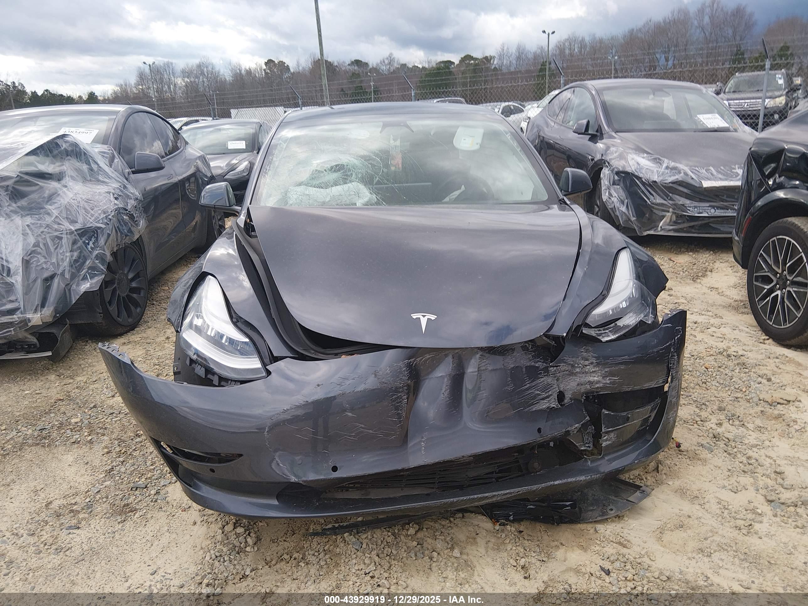 TESLA MODEL image 6