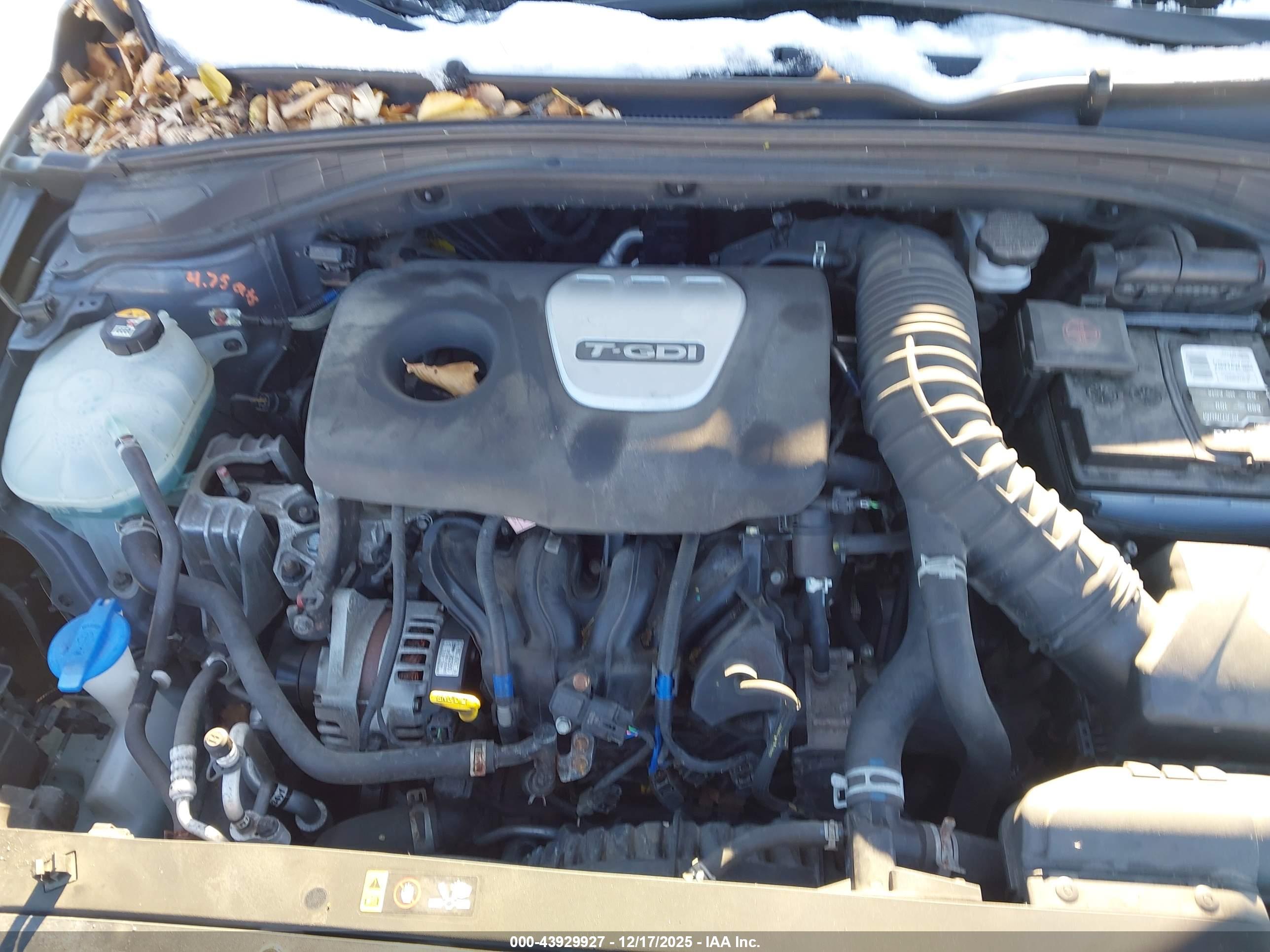HYUNDAI ELANTRA image 10