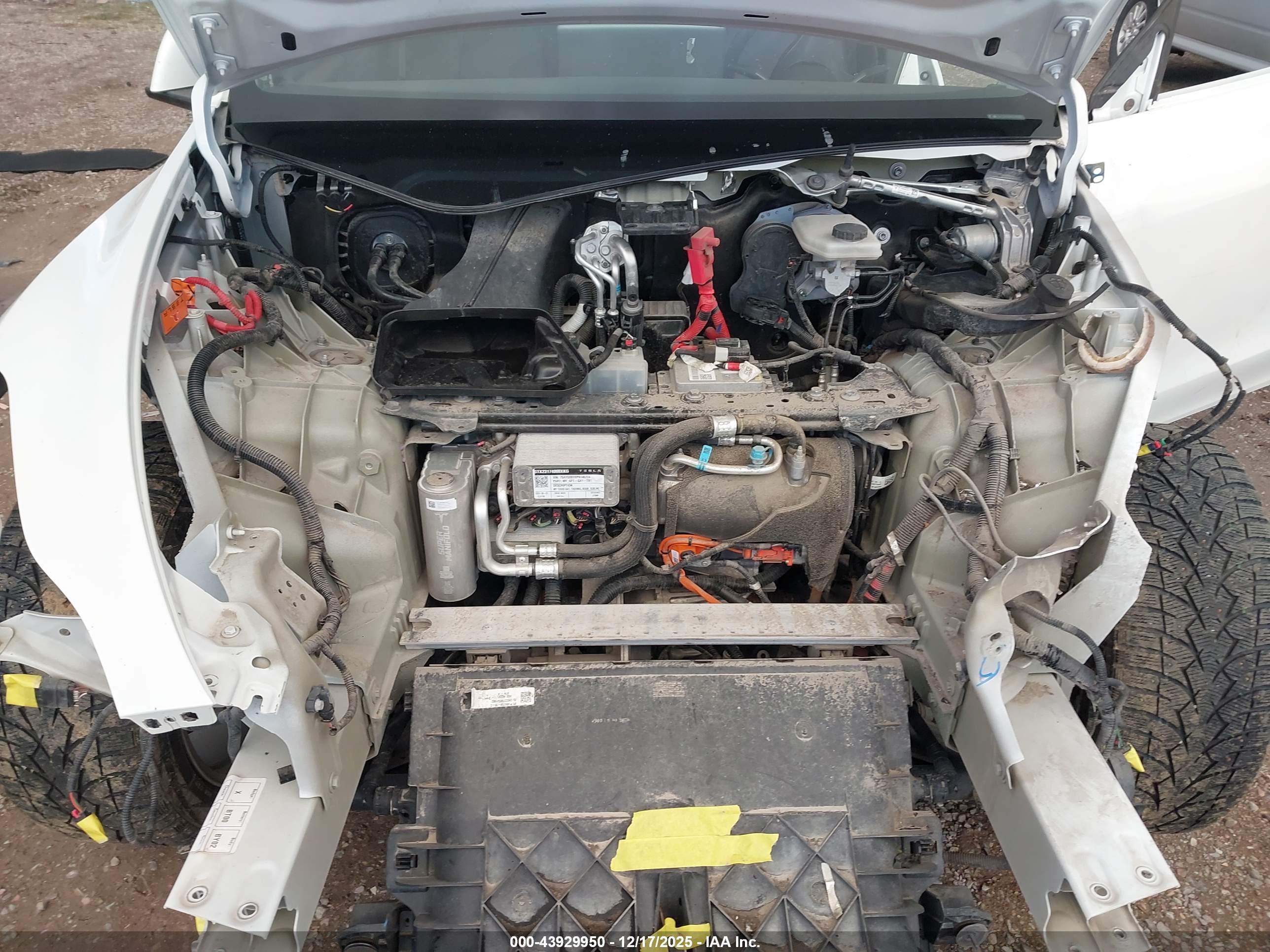 TESLA MODEL image 10