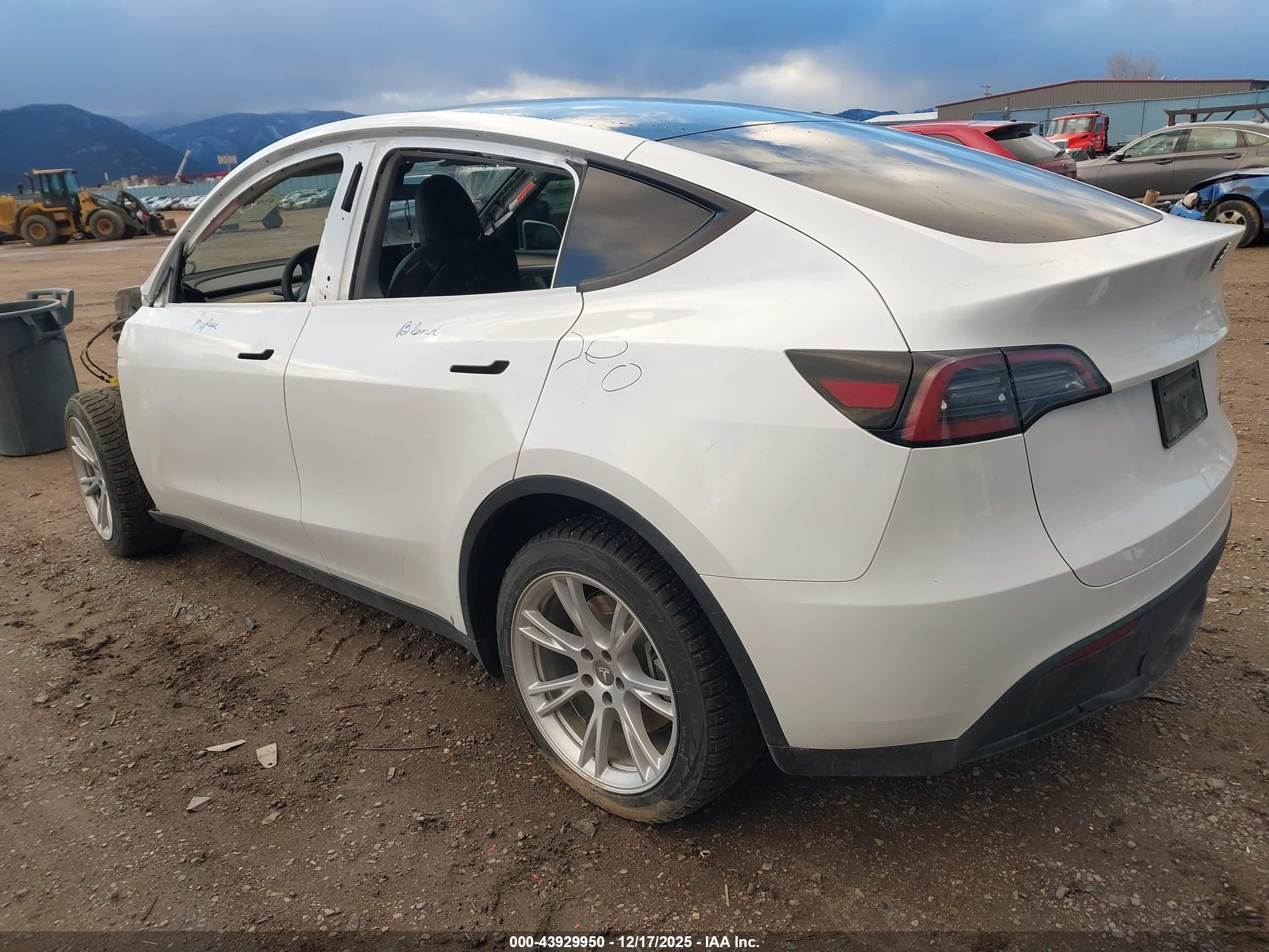 TESLA MODEL image 3