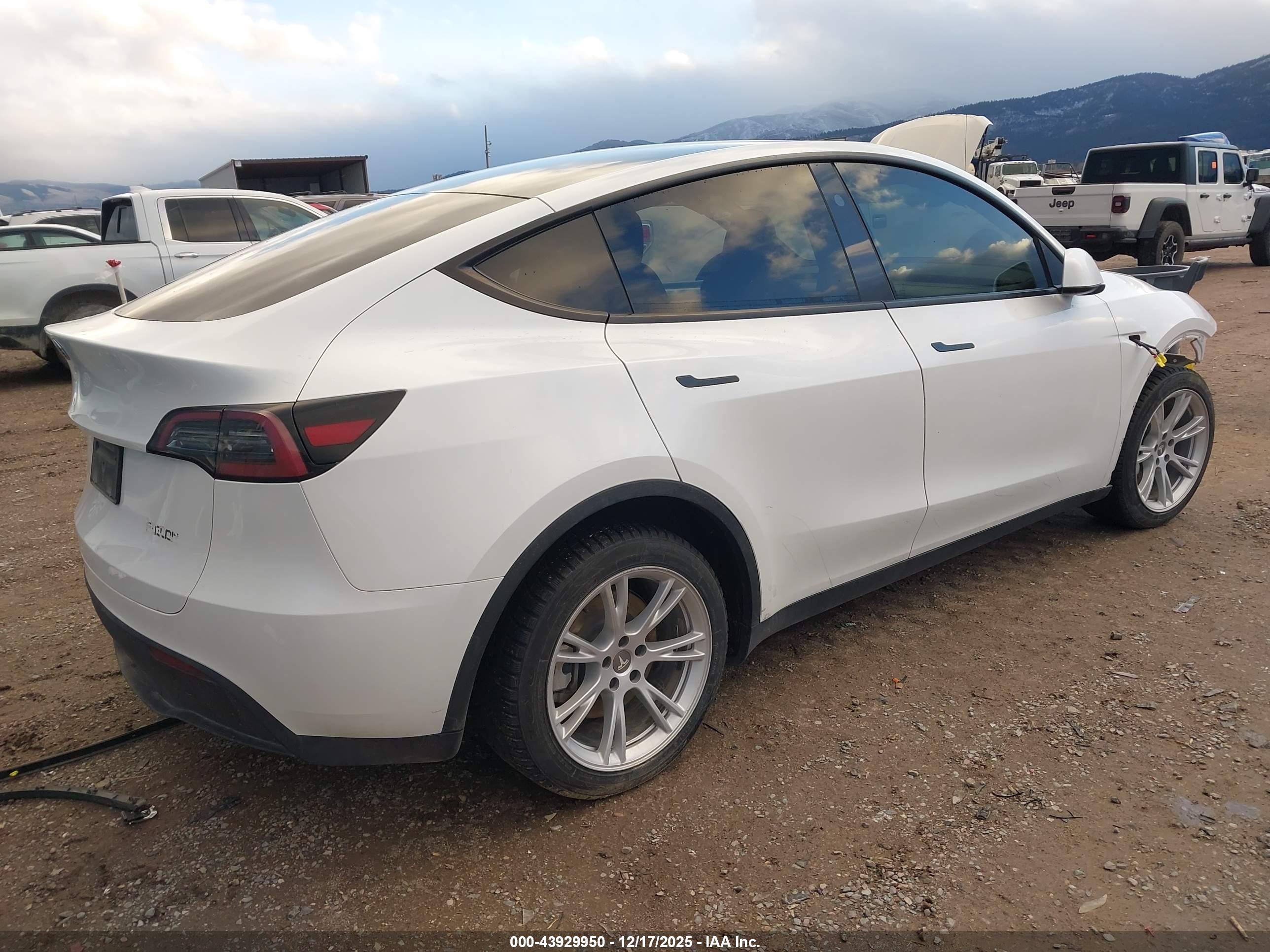 TESLA MODEL image 4