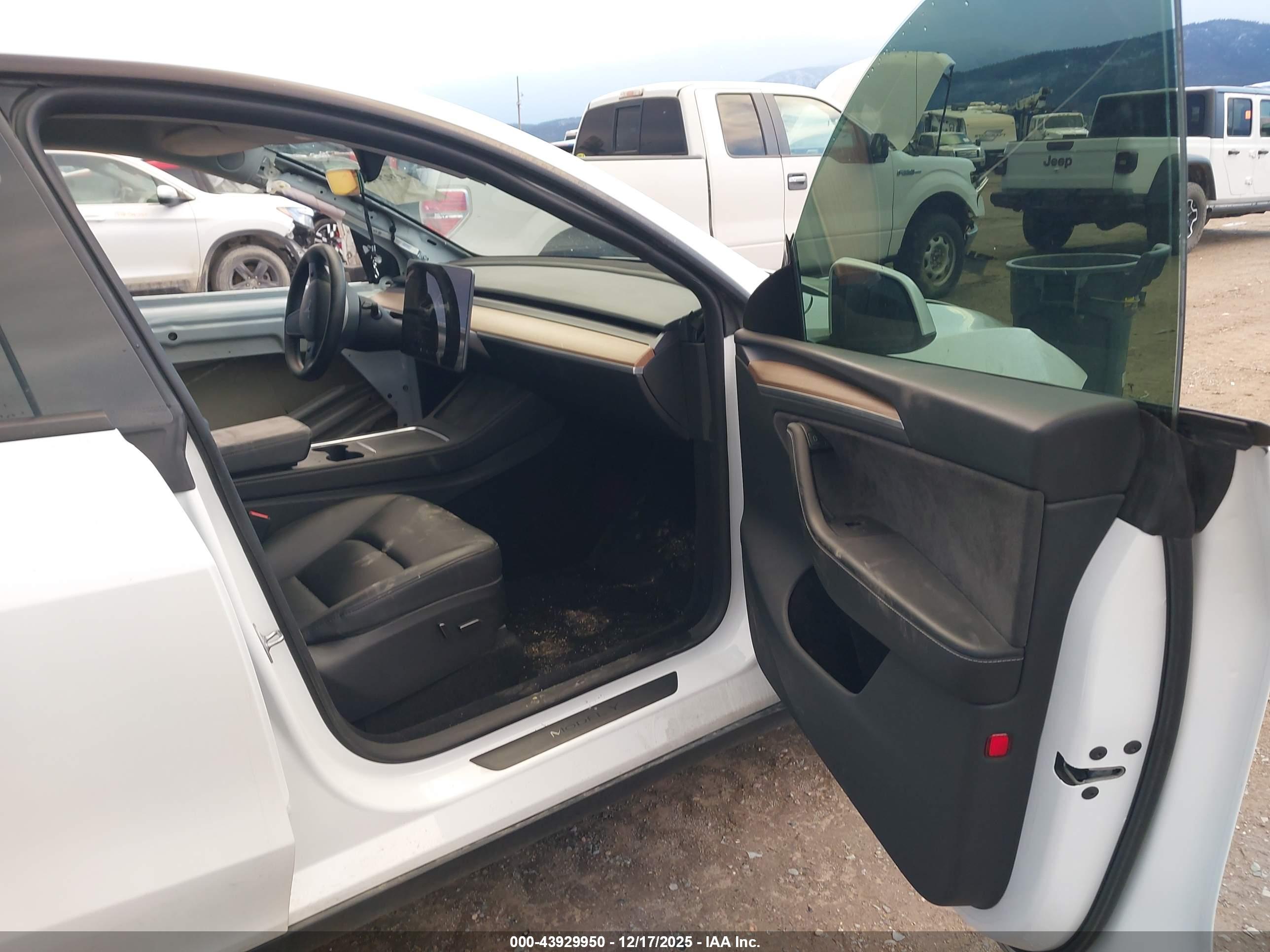TESLA MODEL image 5