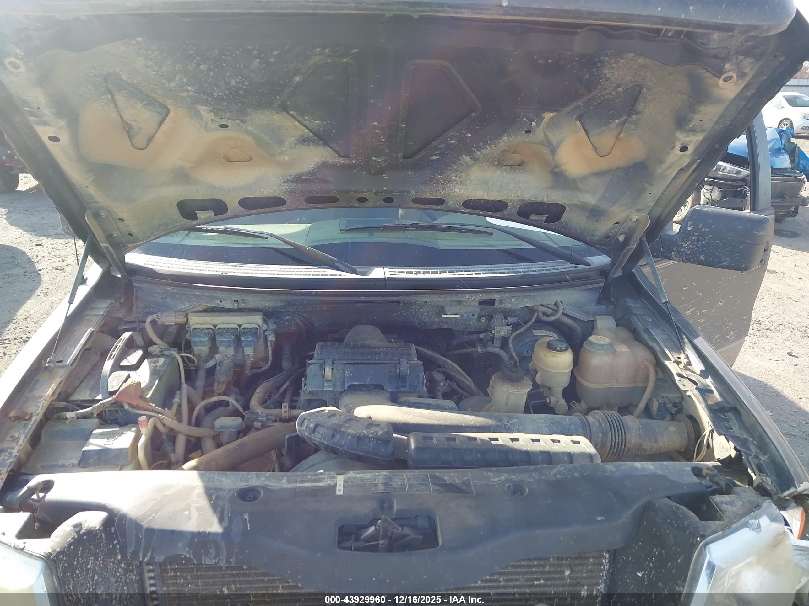 FORD F-150 image 10