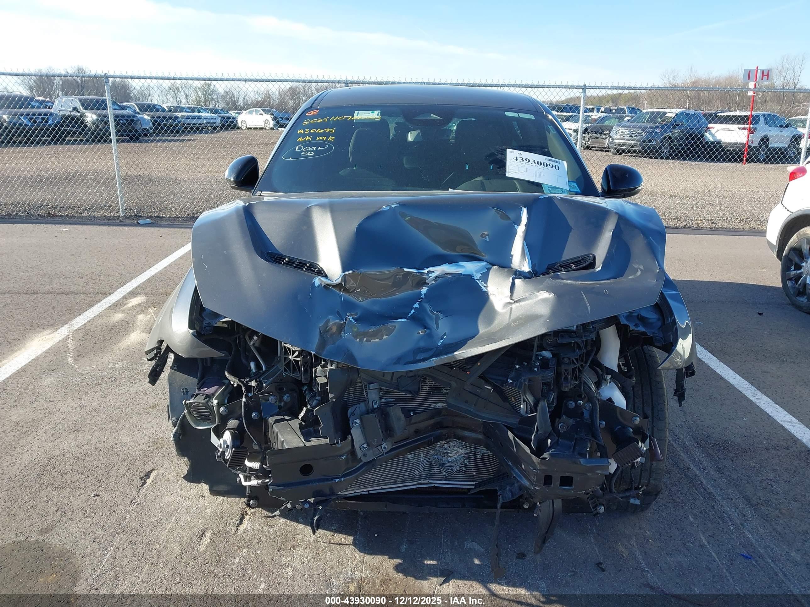 DODGE HORNET image 6