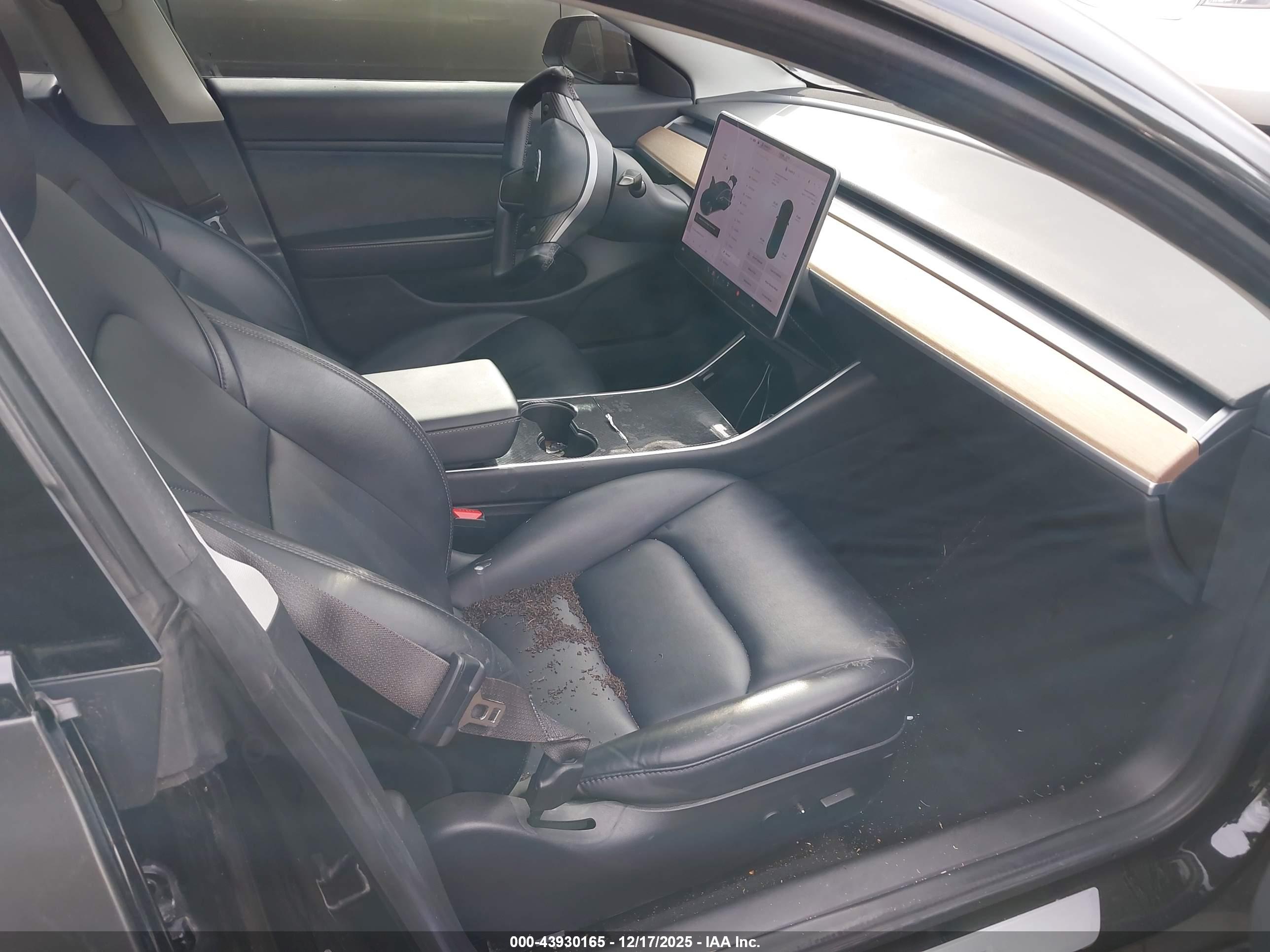 TESLA MODEL image 5