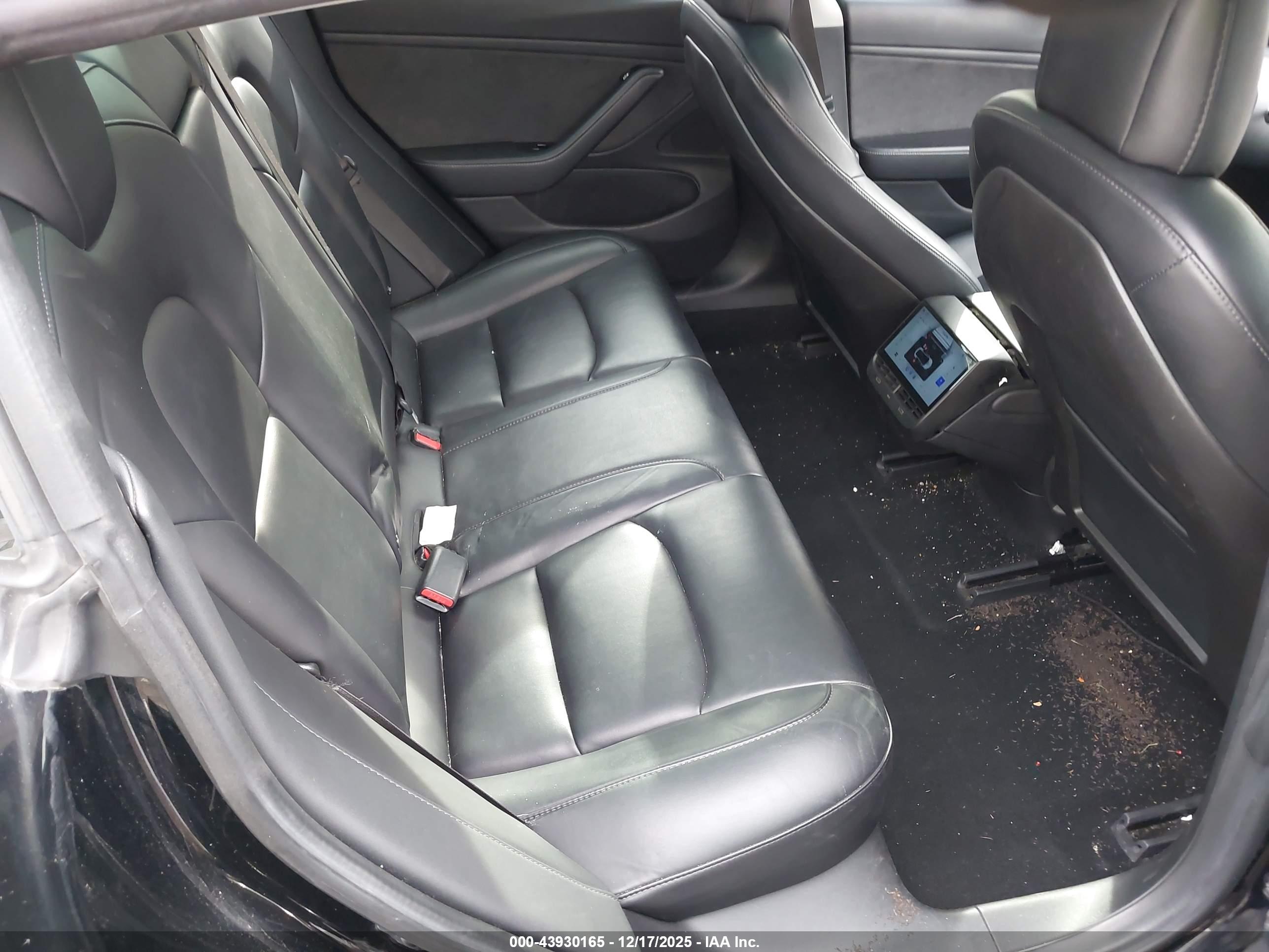 TESLA MODEL image 8