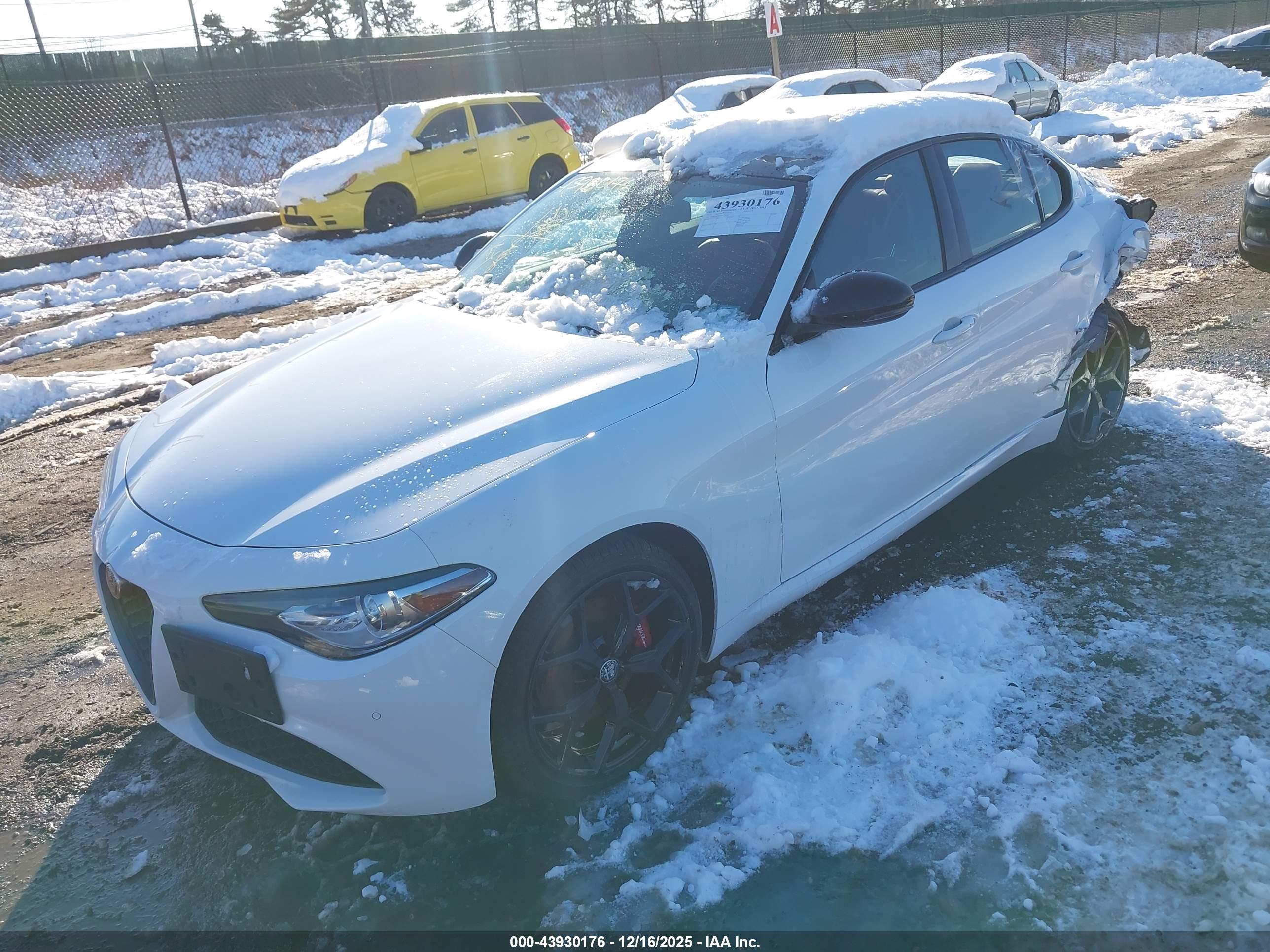 ALFA ROMEO image 2