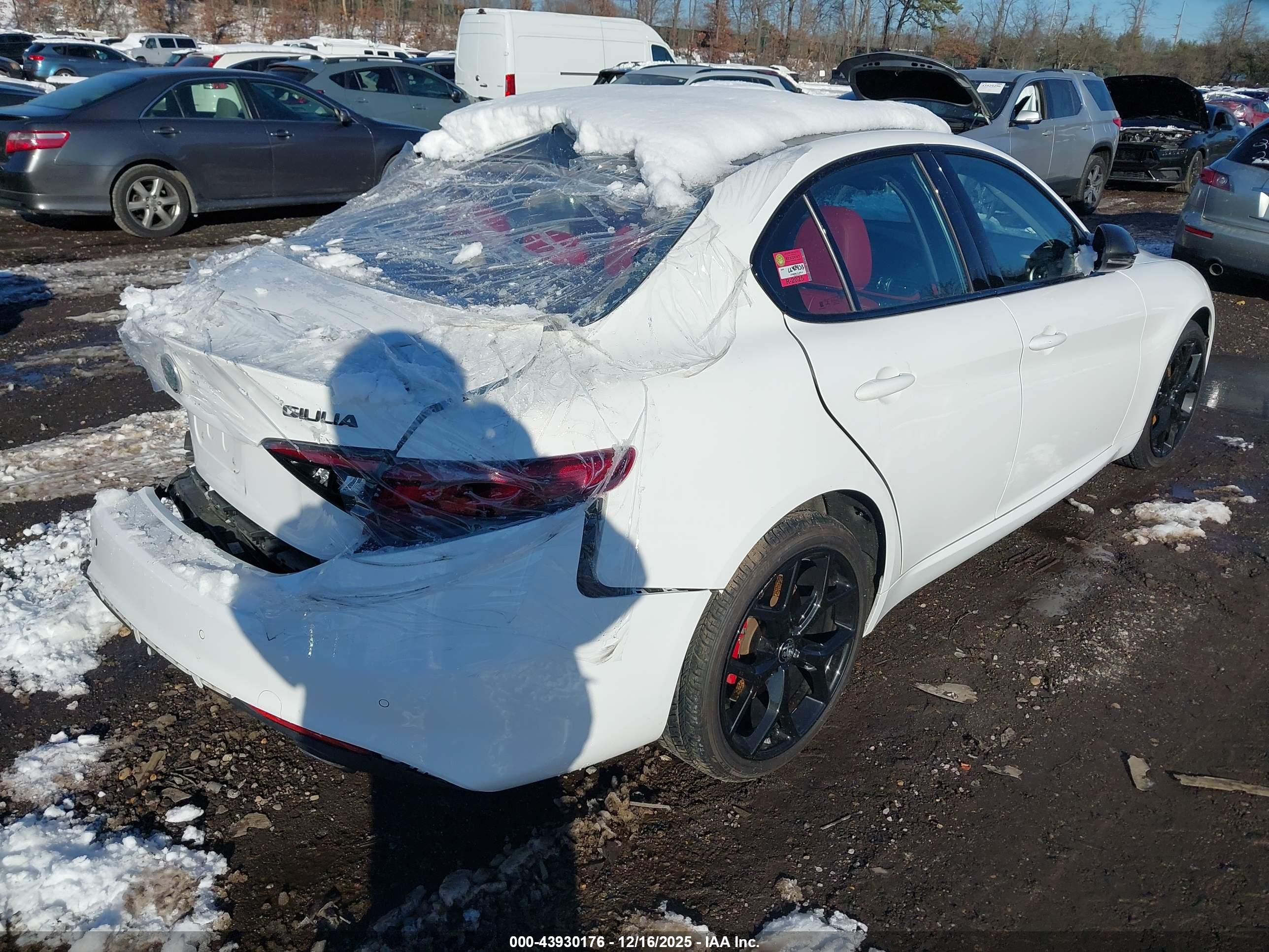 ALFA ROMEO image 4